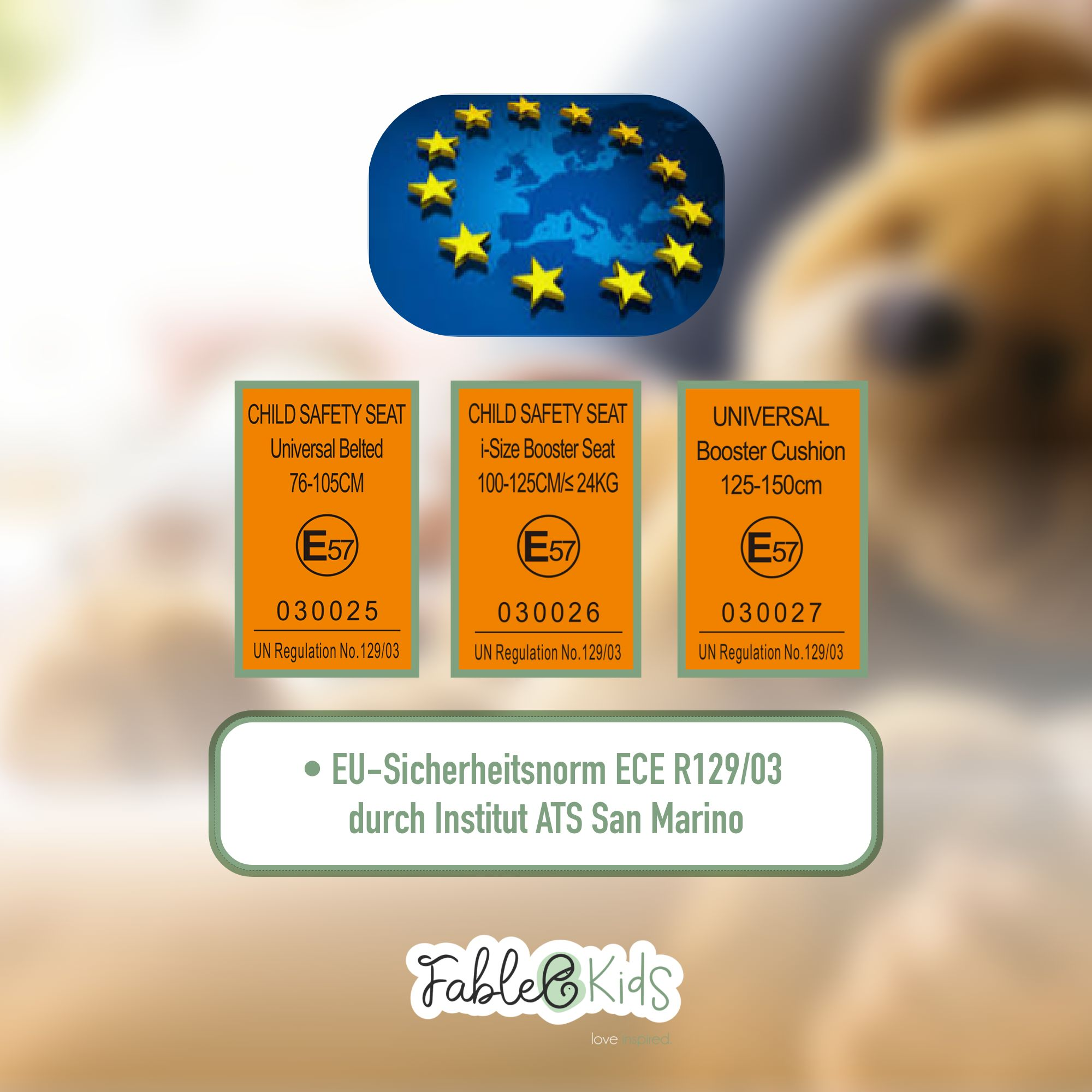 Das Bild zeigt Informationen zu Kindersitzen mit EU-Sicherheitsstandards und Logo. Enthält drei verschiedene Sitztypen.