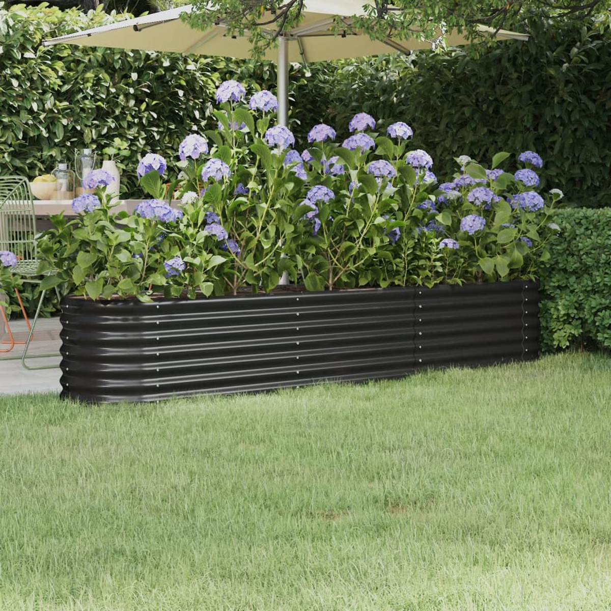Ein schwarzes Hochbeet mit blauen Hortensien. Das Beet steht auf grünem Gras, im Hintergrund eine Hecke.