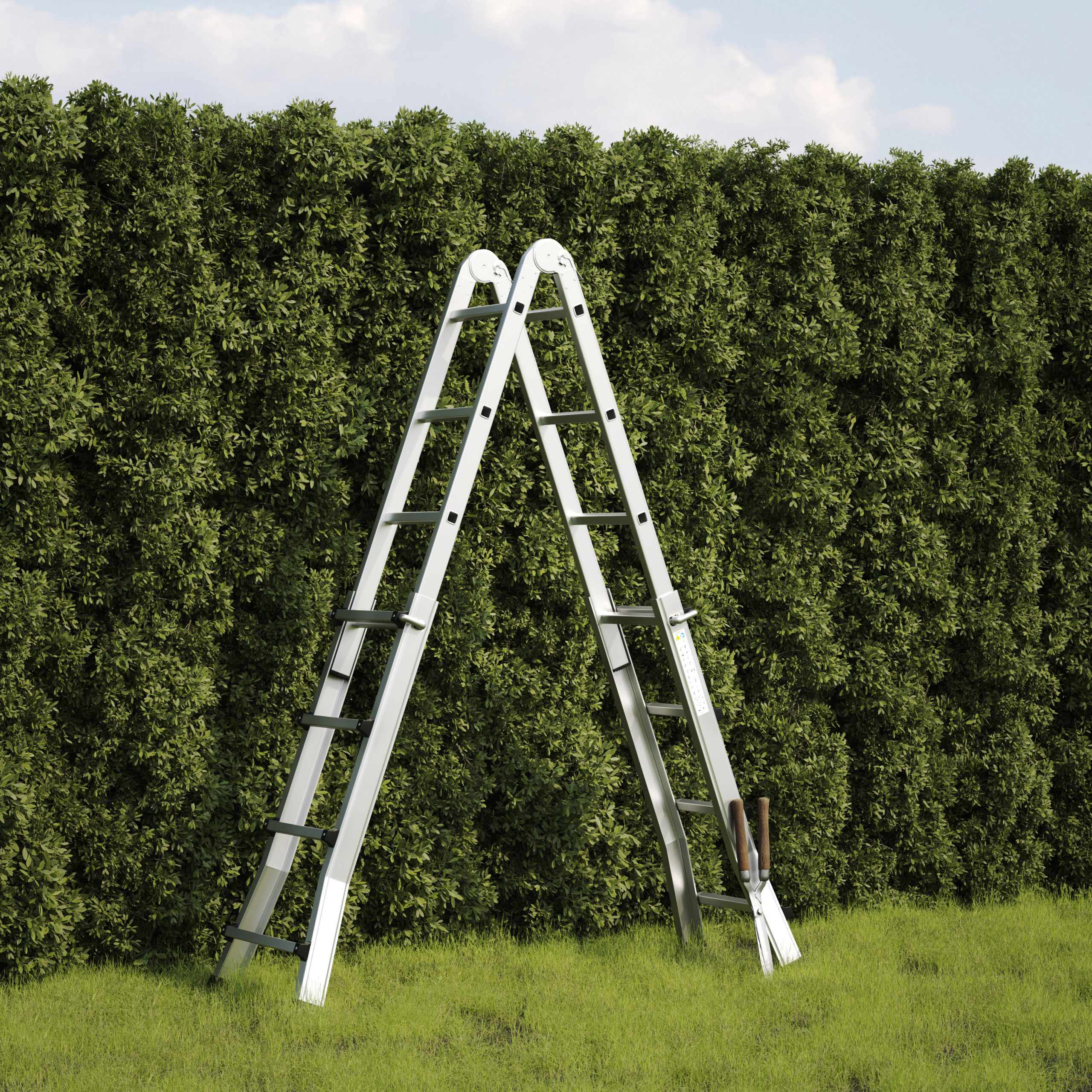 Two silver ladders lean against a dense green hedge on a grassy lawn, with a pair of shears resting against one.