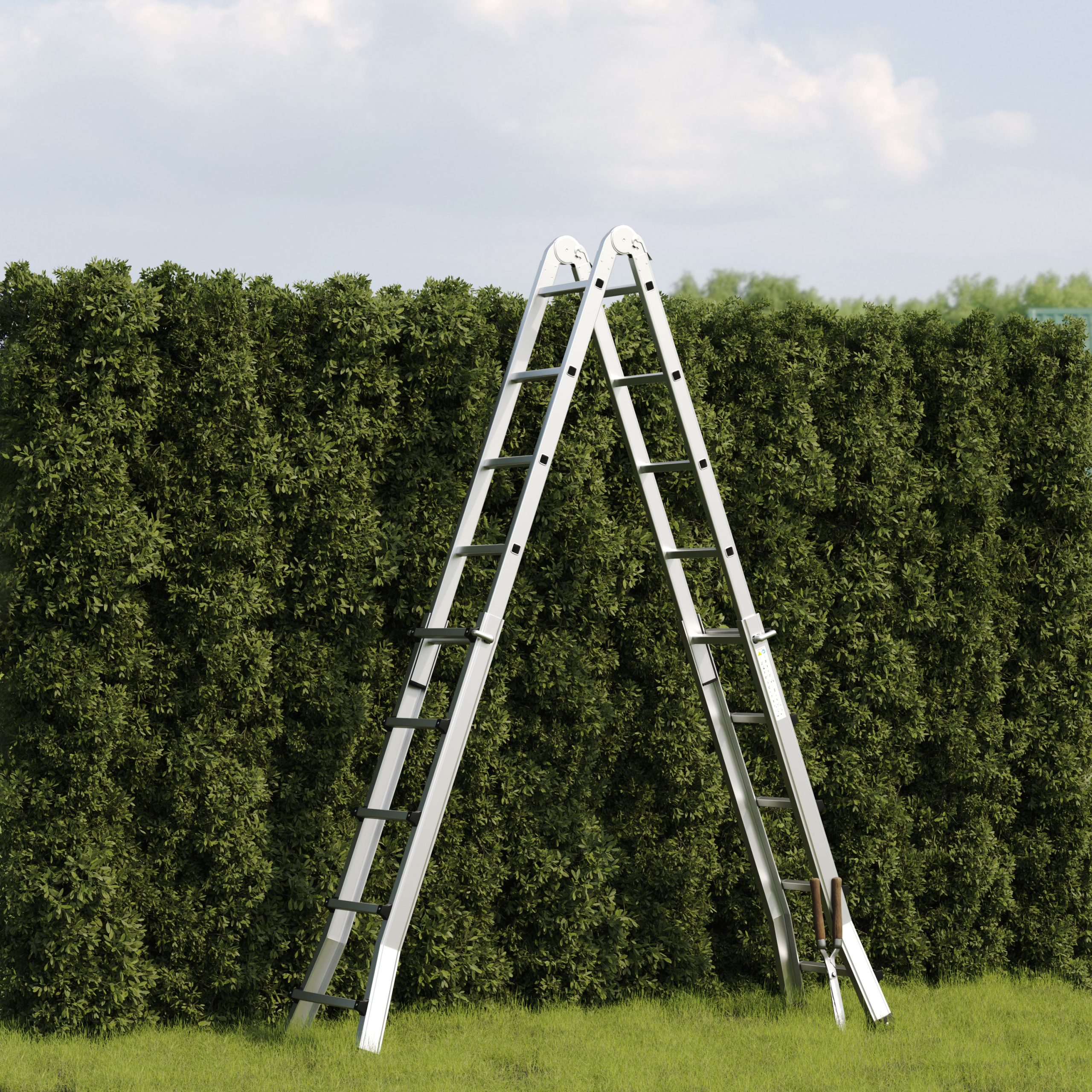Twee zilveren ladders leunen tegen een groene heg op gras. De lucht is lichtblauw met wolken.