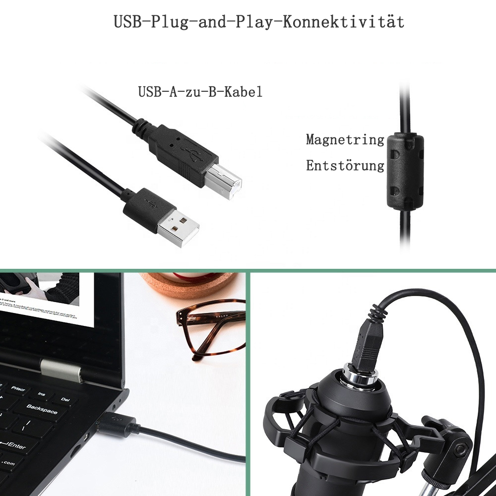 Das Bild zeigt USB-Kabel, Laptop, Brille, Mikrofon. Texte auf Deutsch: USB-Plug-and-Play, USB-A-zu-B-Kabel, Magnetring, Entstörung.