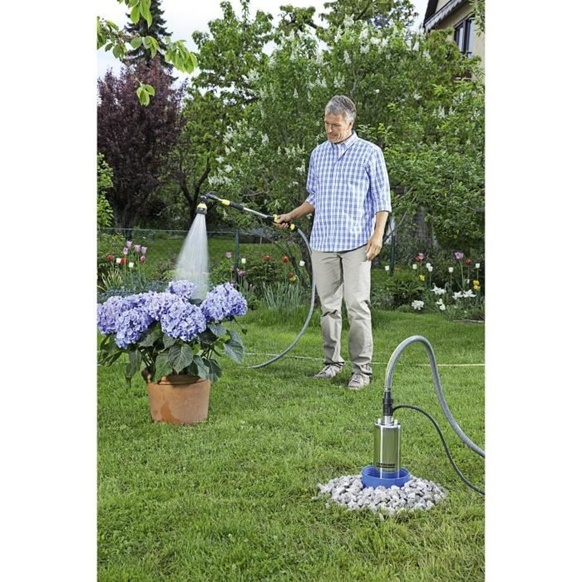 Un hombre riega hortensias azules en una maceta. Una bomba está sobre grava. Hierba verde y árboles al fondo.