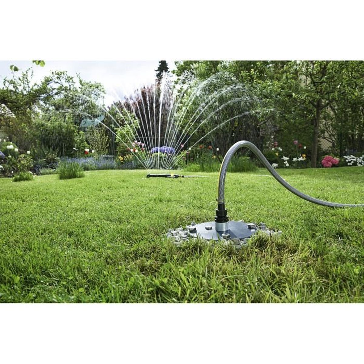 Un aspersor riega un césped verde. Una manguera está conectada al aspersor, y un jardín con árboles y flores está en el fondo.