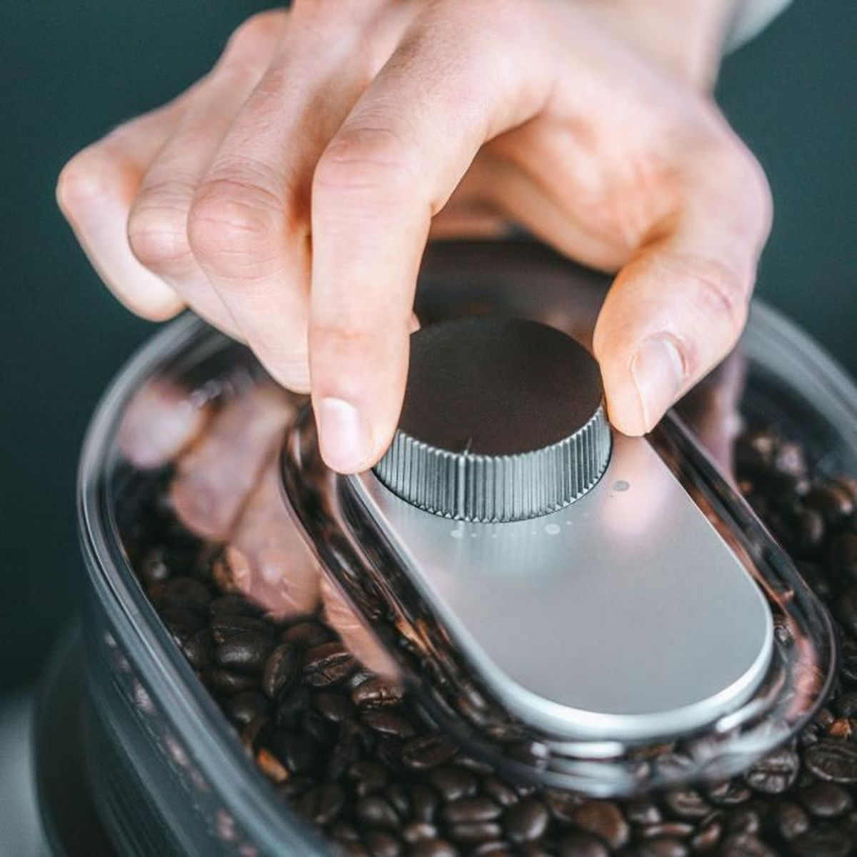 Ręka reguluje srebrne pokrętło na młynku do kawy wypełnionym ziarnami kawy.