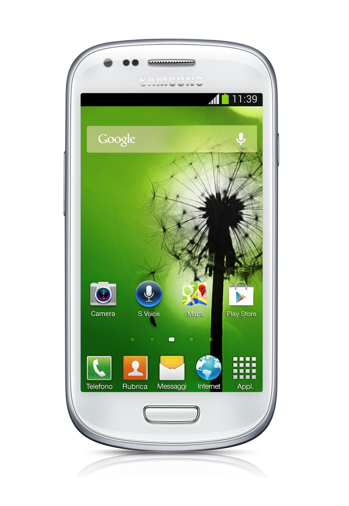 Ein weißes Samsung-Smartphone zeigt einen grünen Bildschirm mit einem Löwenzahnbild. Symbole für Kamera, Google und andere Apps sind sichtbar.