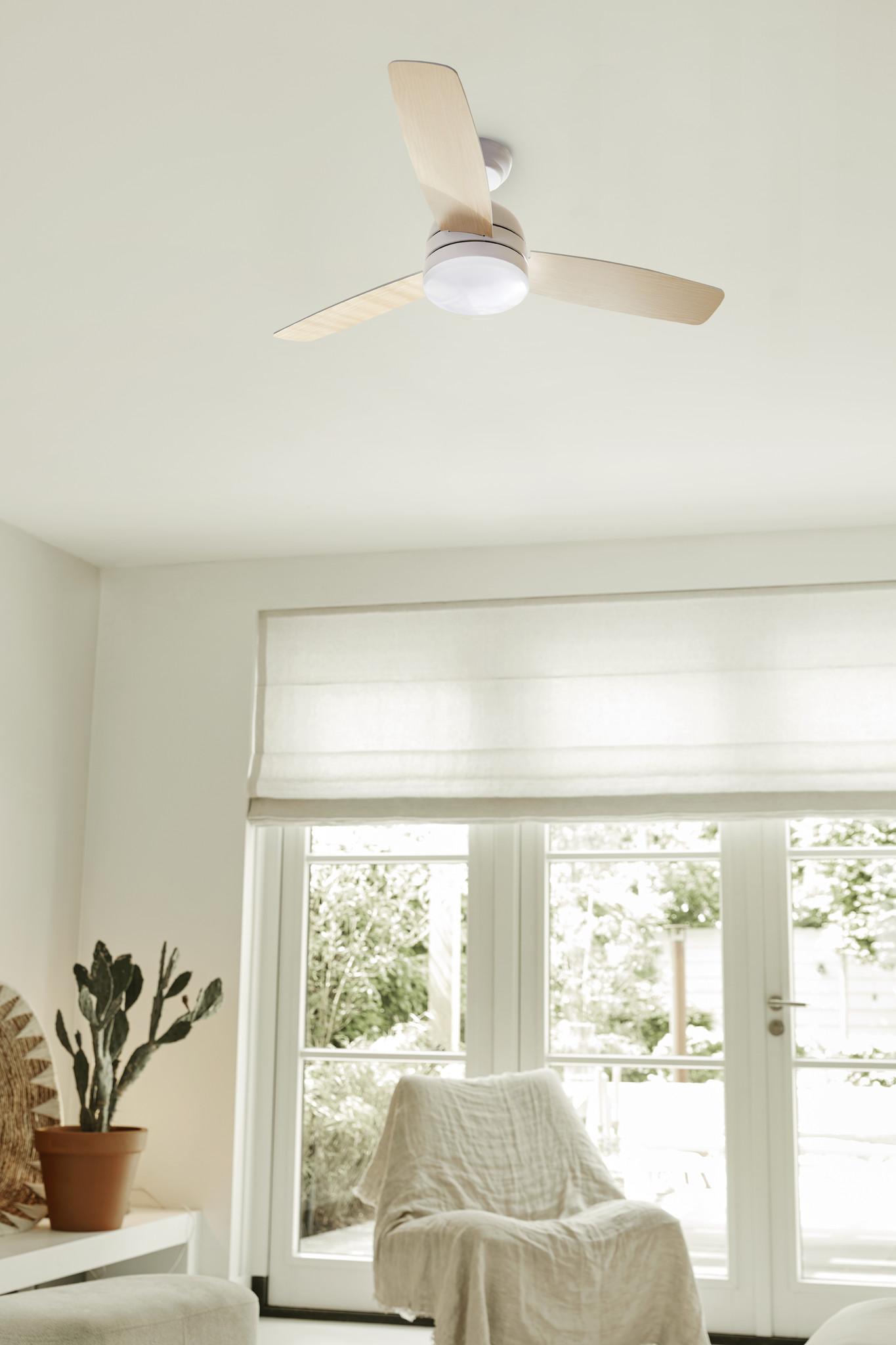 A ceiling fan with light is centered. A cactus in a brown pot sits by a window with a white chair.