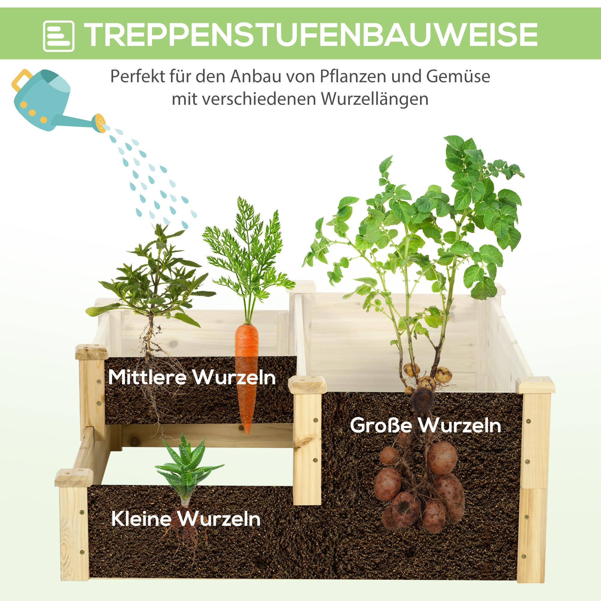 Diagramm, das Pflanzen mit unterschiedlichen Wurzellängen in einem gestuften Holzpflanzgefäß zeigt. Karotte, Kartoffel und eine andere Pflanze sind abgebildet.