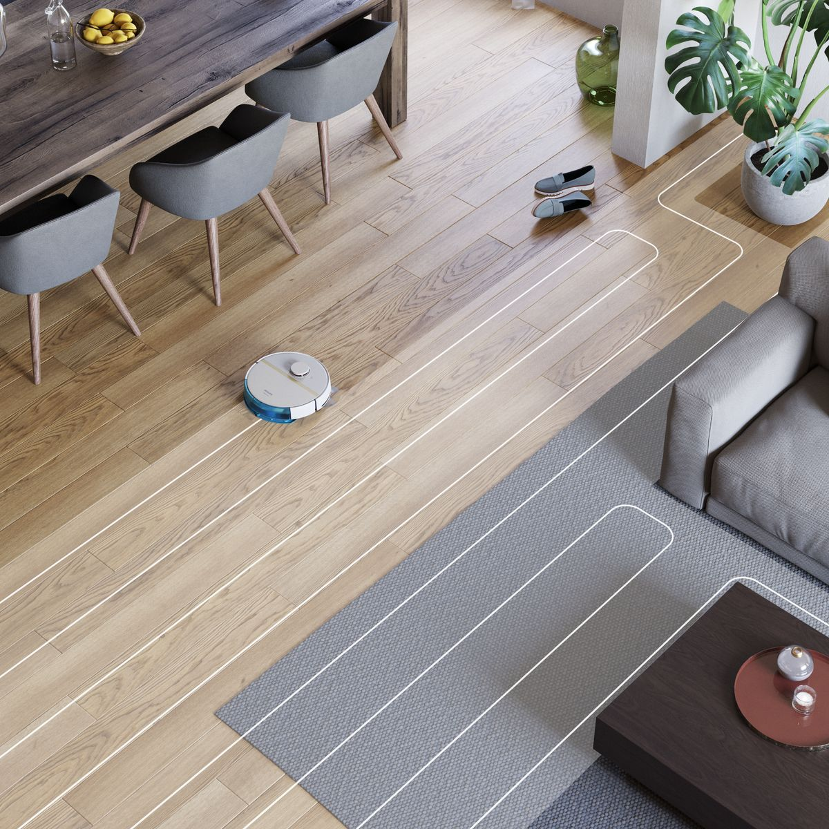 Ein Roboterstaubsauger reinigt einen Holzboden. Im Hintergrund ein Tisch mit Stühlen, sowie ein Sofa und eine Pflanze.