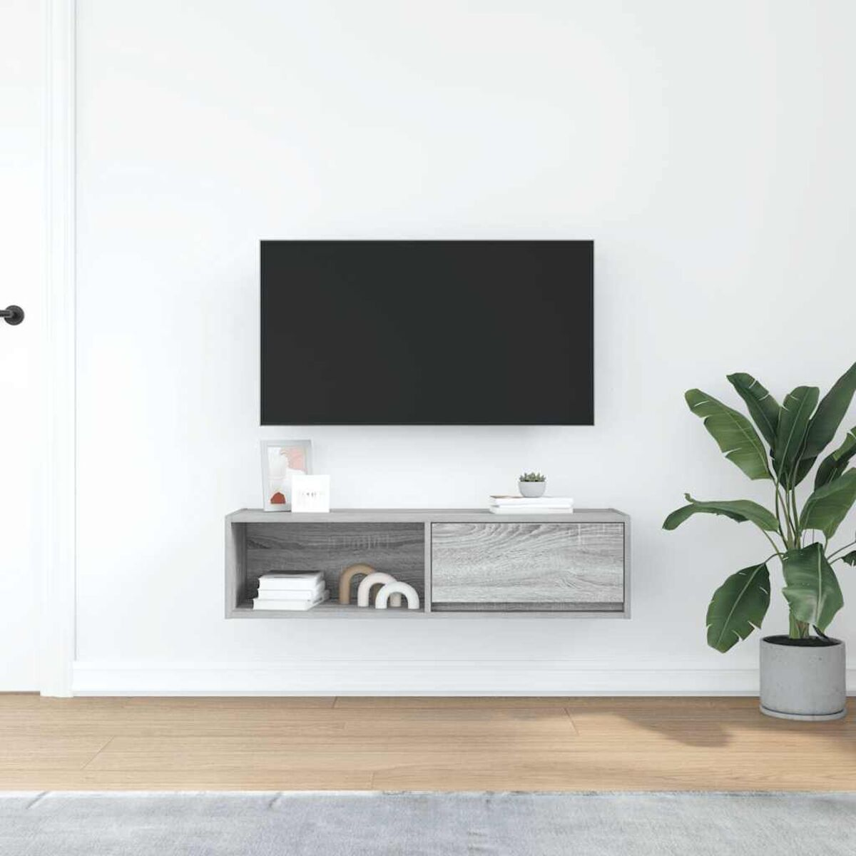 Ein Fernseher an einer weißen Wand über einem grauen Schrank mit Dekoration. Rechts steht eine Topfpflanze. Holzboden und eine Tür links.