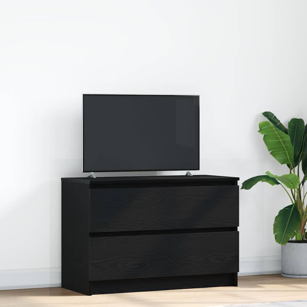 Ein schwarzer Fernseher steht auf einer schwarzen Kommode mit zwei Schubladen. Rechts ist eine Topfpflanze mit großen grünen Blättern.