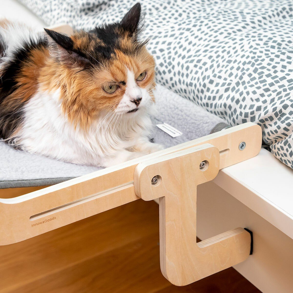 Un gatto calico è sdraiato su un letto con una struttura in legno. Il gatto guarda a sinistra. Il letto ha una coperta fantasia.