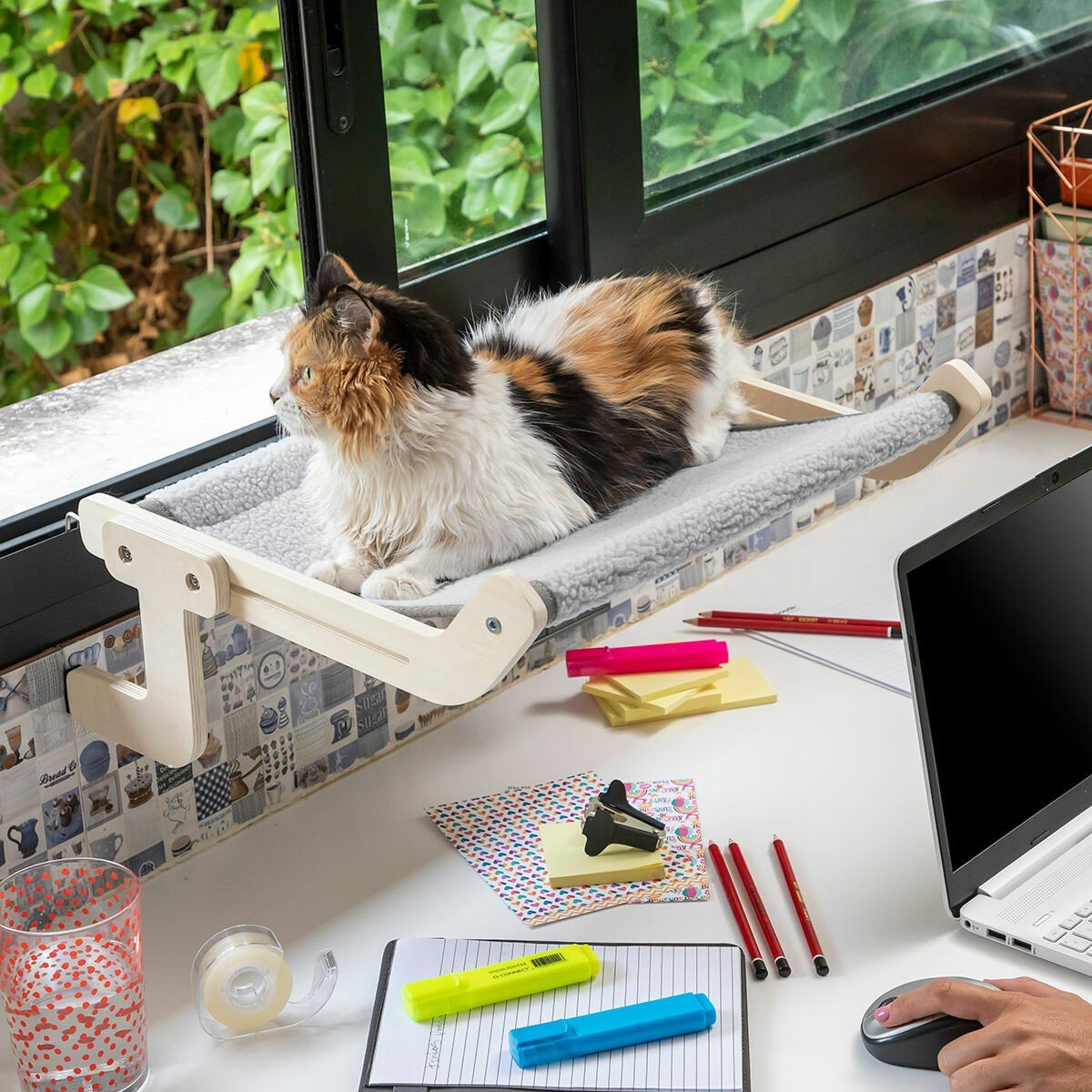 Un gatto tartarugato riposa su un letto montato sulla finestra. Una scrivania con cancelleria e un laptop in primo piano. Fogliame verde all'esterno.
