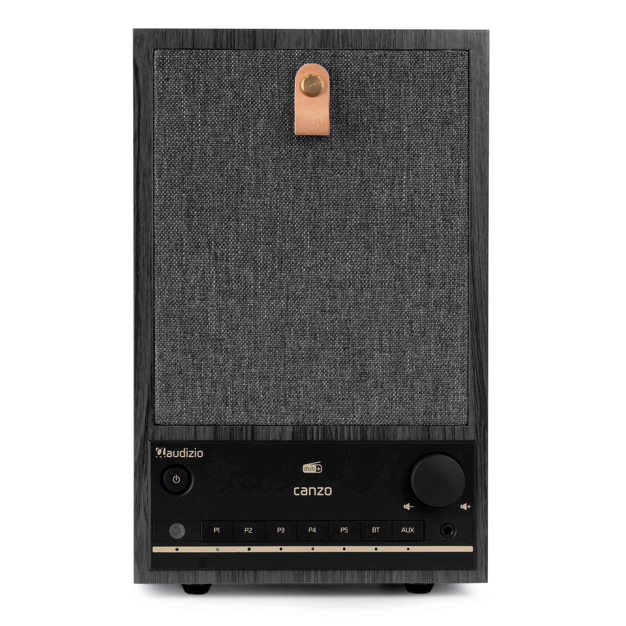 Un altavoz negro y gris con asa de cuero. Tiene botones y una perilla de volumen. La marca es visible.
