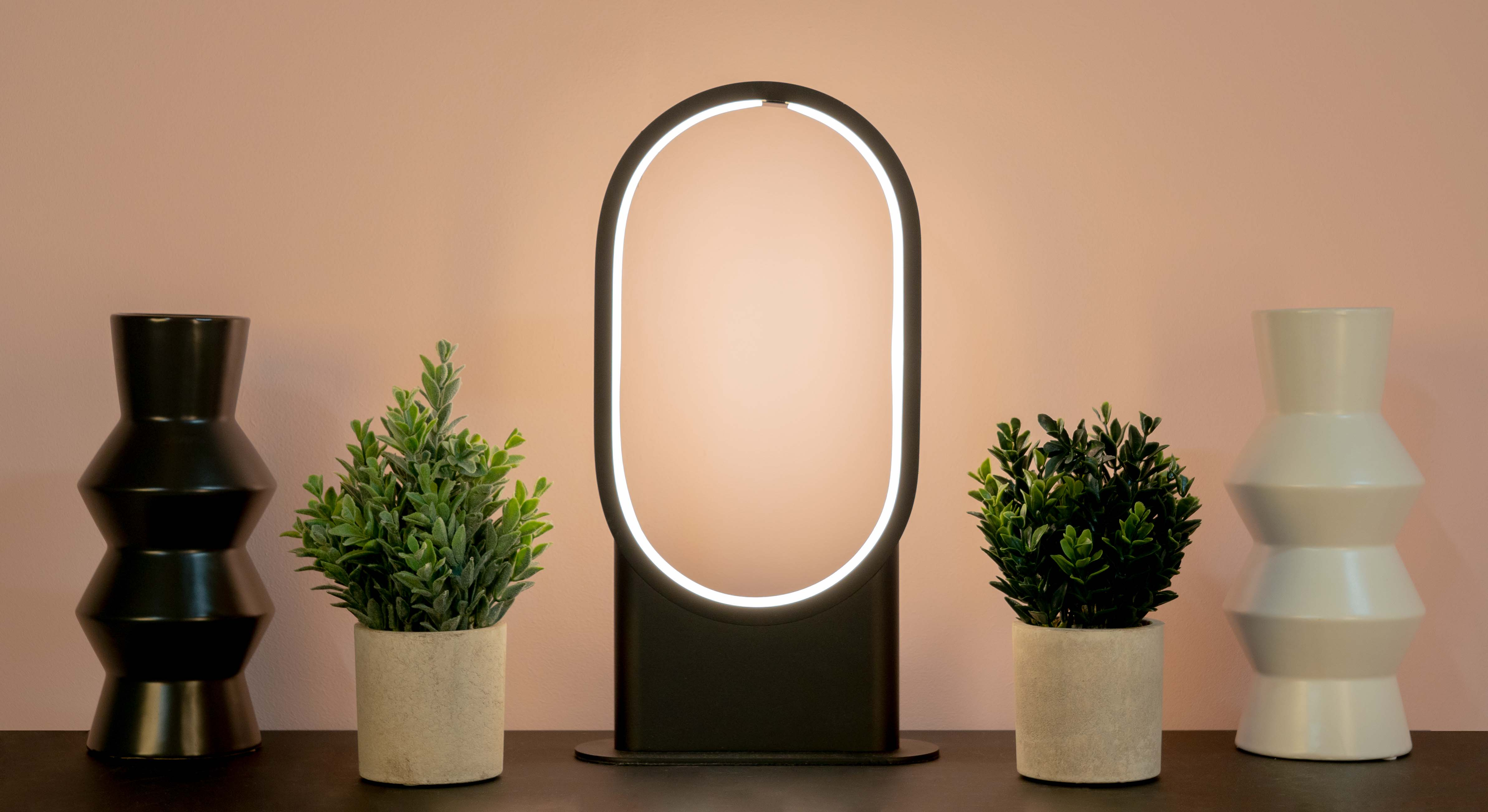 Eine ovale Lampe mit weißem Licht ist zentriert. Zwei Topfpflanzen und zwei Vasen, schwarz und weiß, stehen auf einer dunklen Oberfläche.