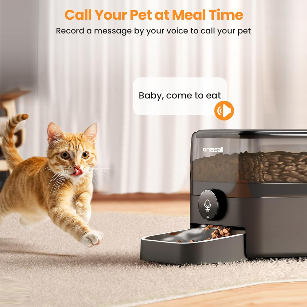 Pomarańczowy kot pręgowany biegnie w kierunku czarnego karmnika. Podajnik wydaje jedzenie.