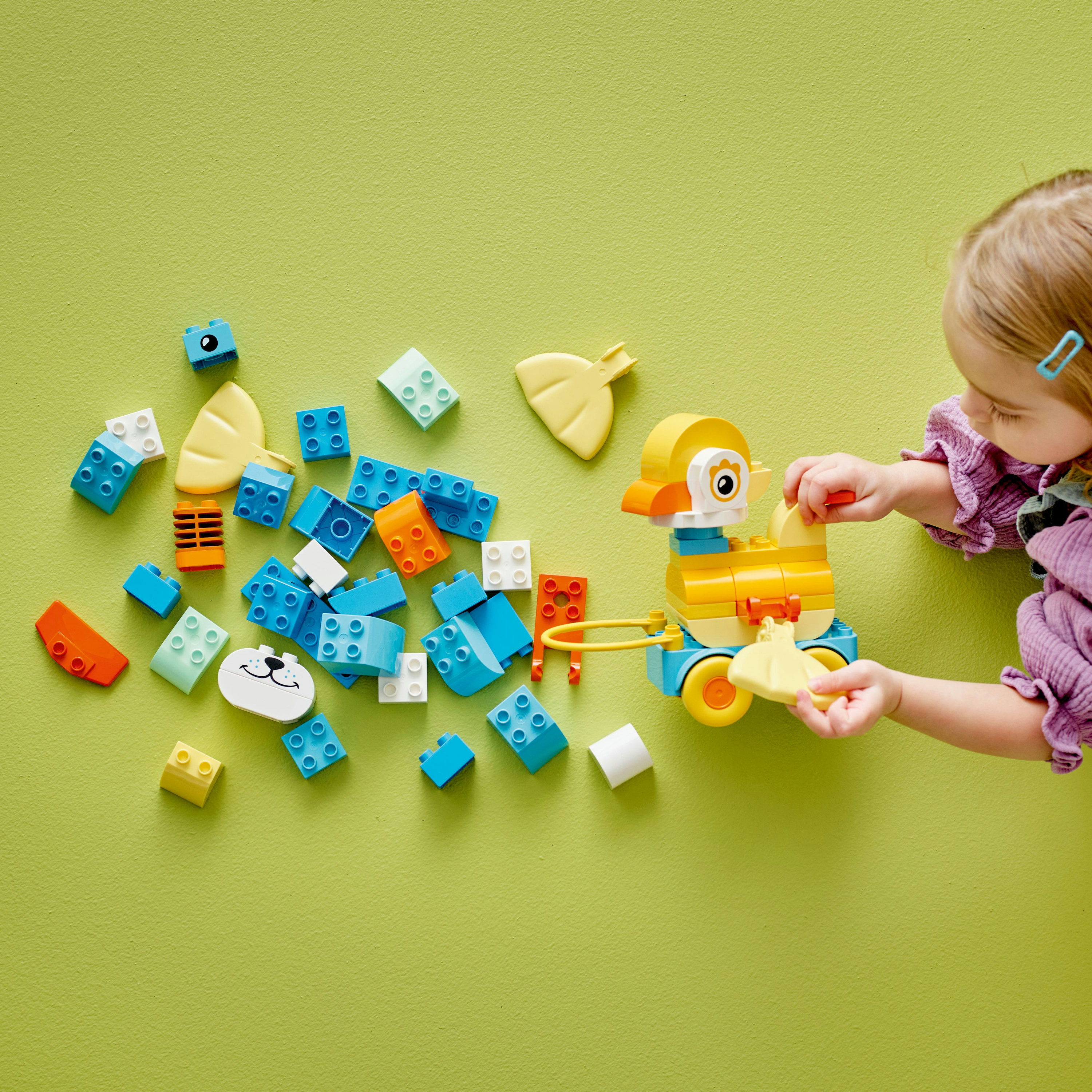 Mała dziewczynka buduje kaczuszkę Lego. Rozrzucone są niebieskie, białe, pomarańczowe i żółte klocki Lego.