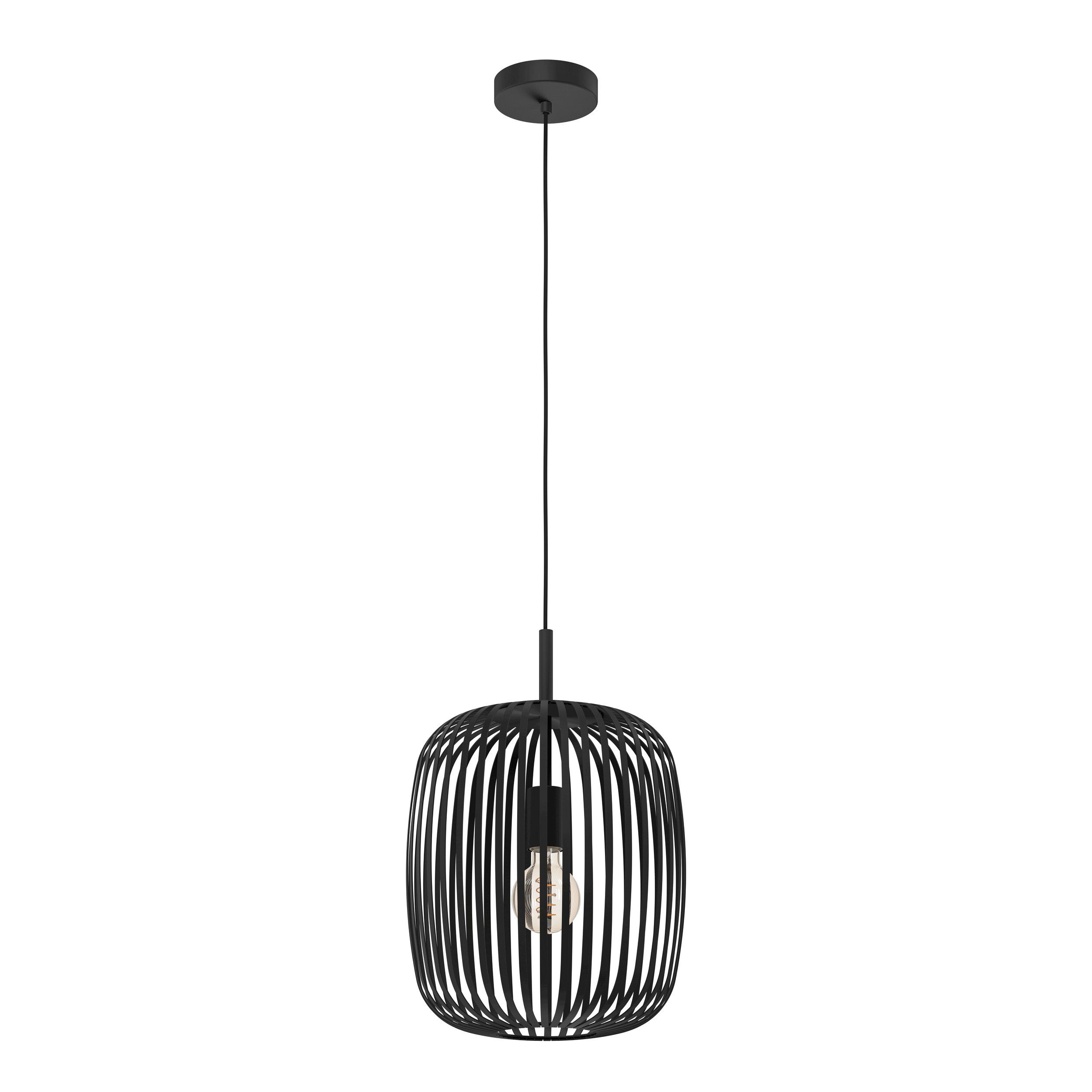 Een zwarte hanglamp met een gekooide lamp hangt tegen een witte achtergrond.