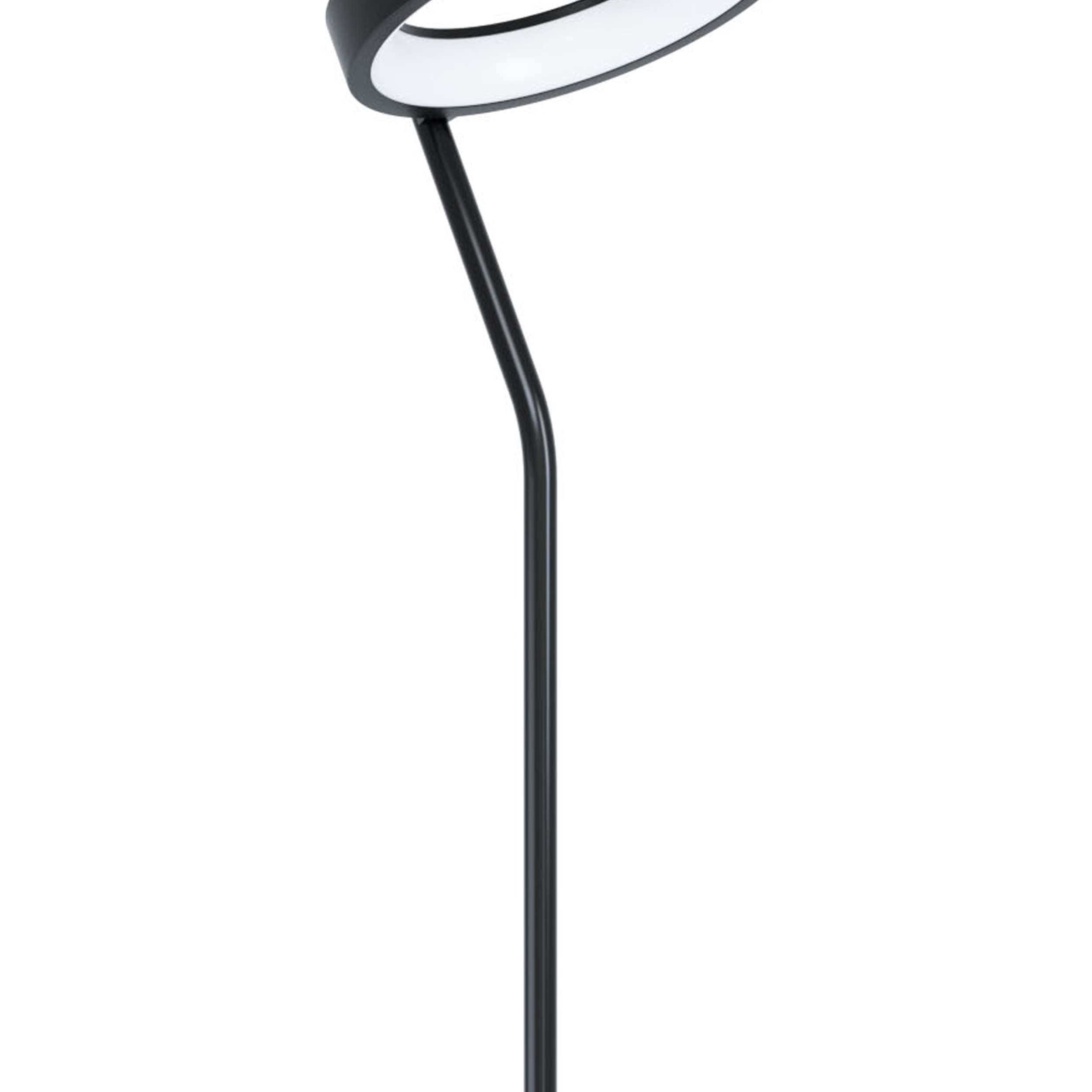 Nahaufnahme einer schwarzen Stehlampe mit gebogenem Arm und kreisförmigem Licht, weißer Hintergrund.
