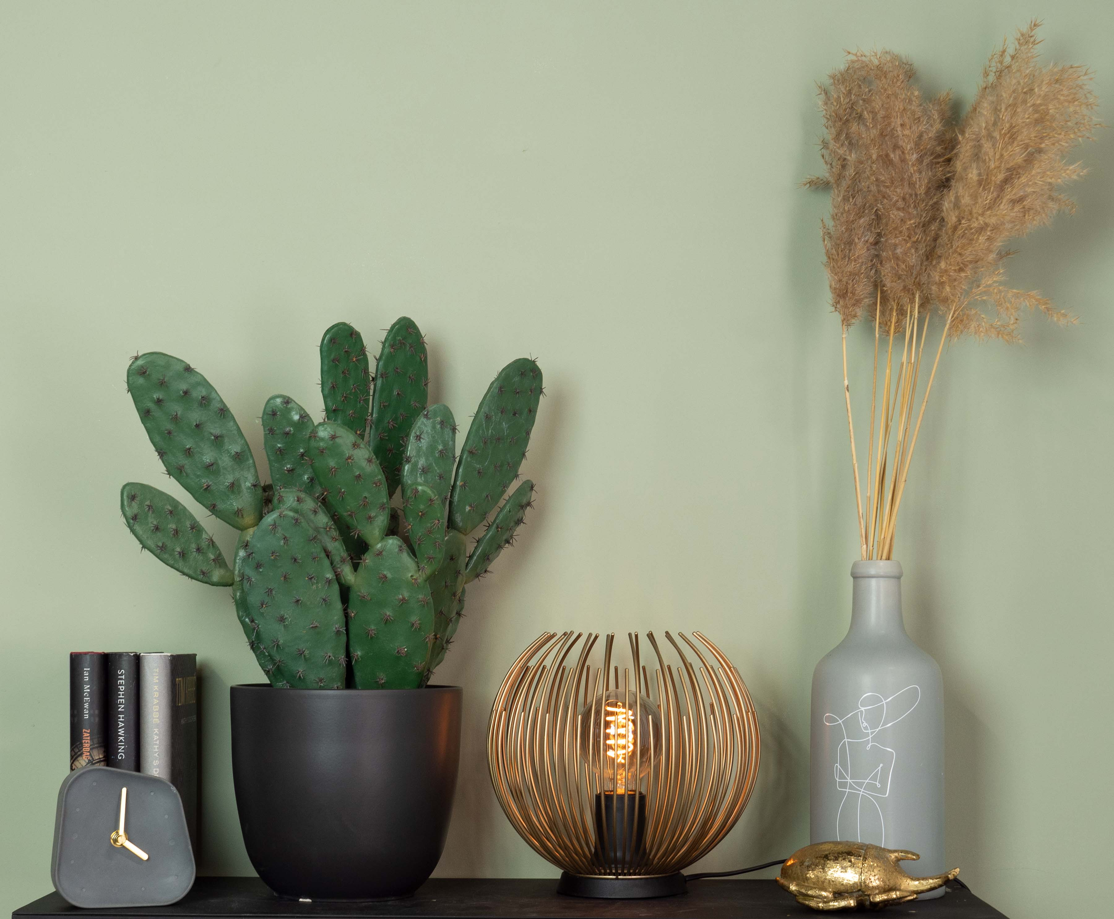 Tavolo nero con cactus, lampada, vaso e libri contro un muro verde. La lampada è dorata.