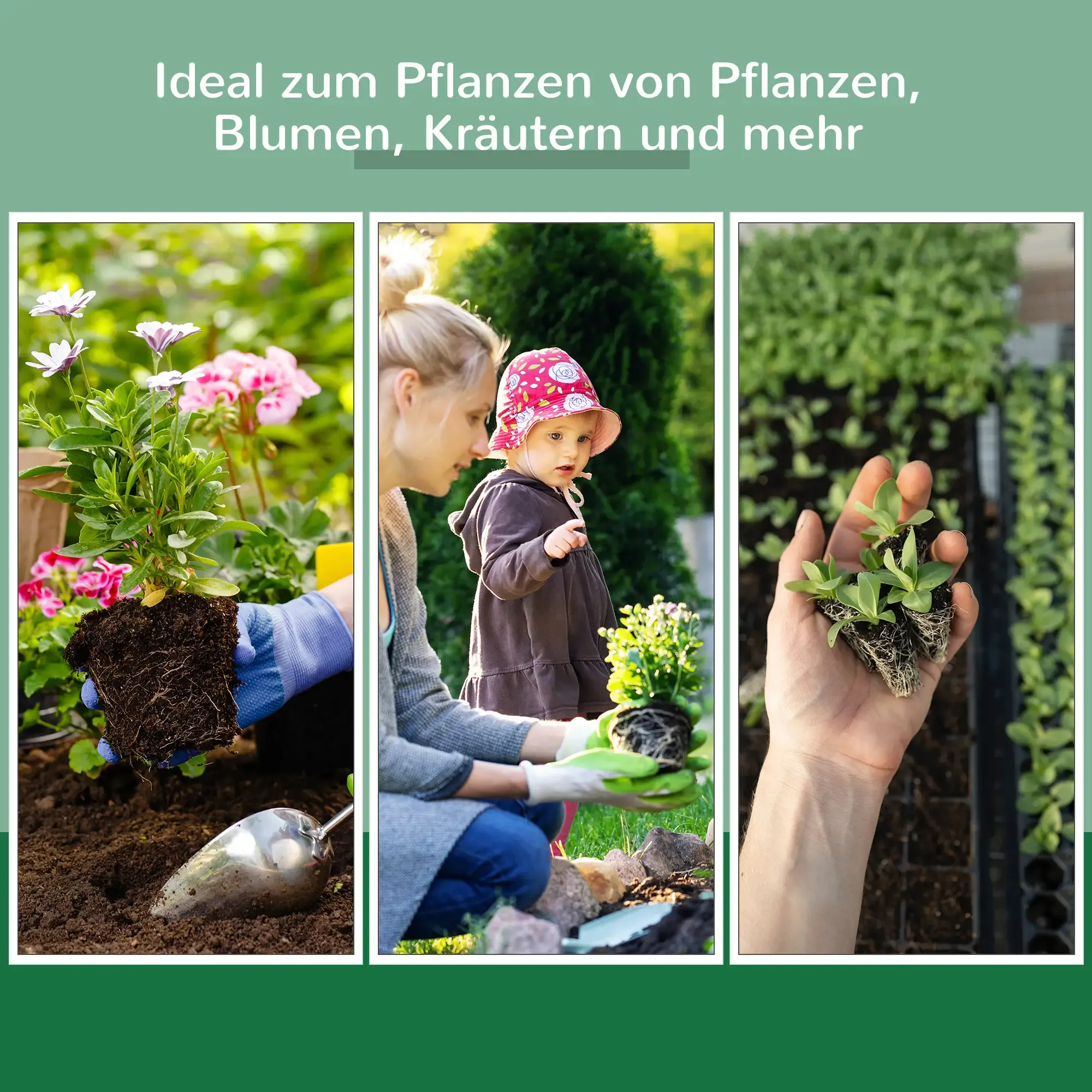 Eine Collage aus drei Bildern, die Menschen beim Pflanzen von Blumen und Setzlingen in Erde zeigen.
