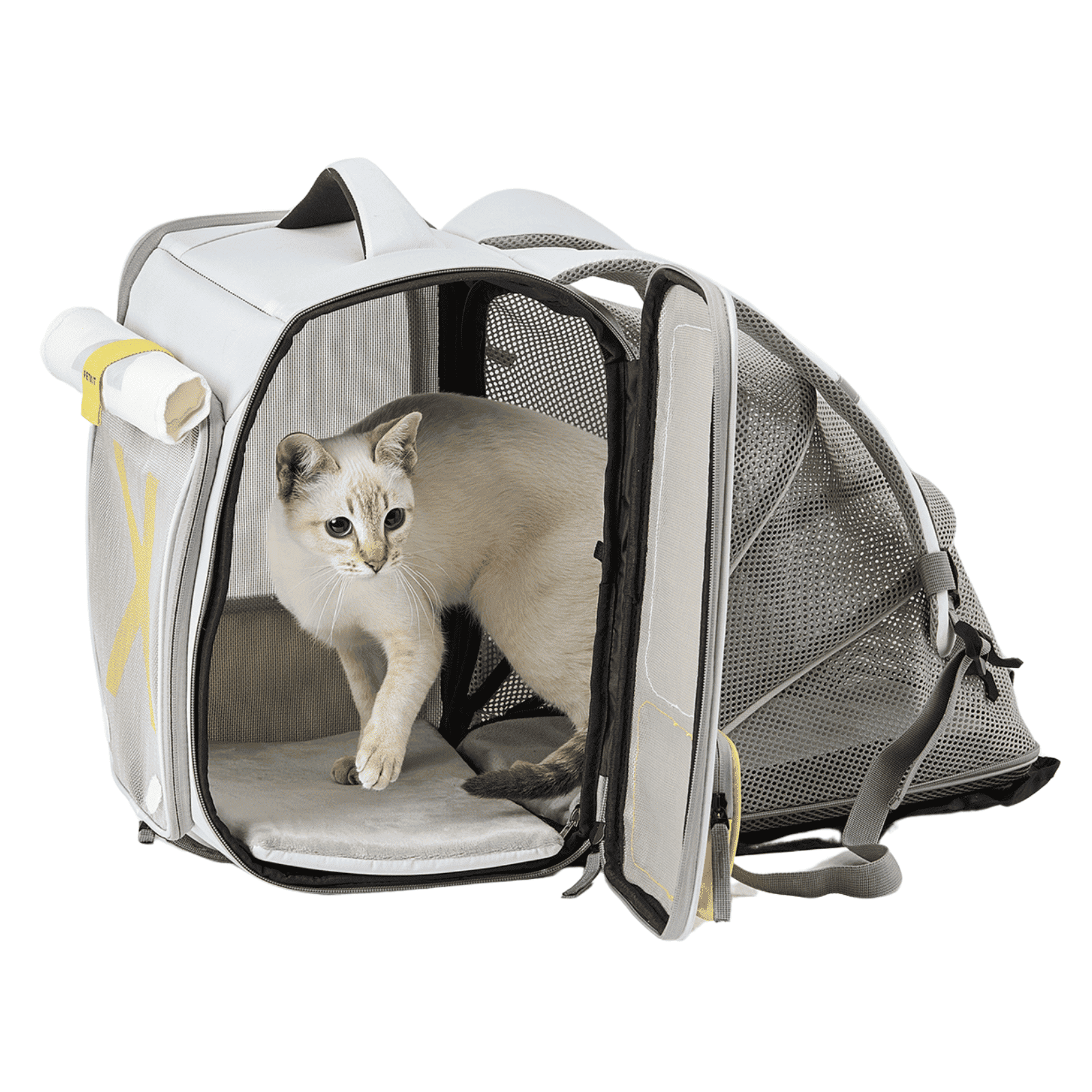 Eine Katze verlässt eine graue Haustiertragetasche mit Netzseiten und einem gelben Akzent. Die Tasche steht vor einem weißen Hintergrund.