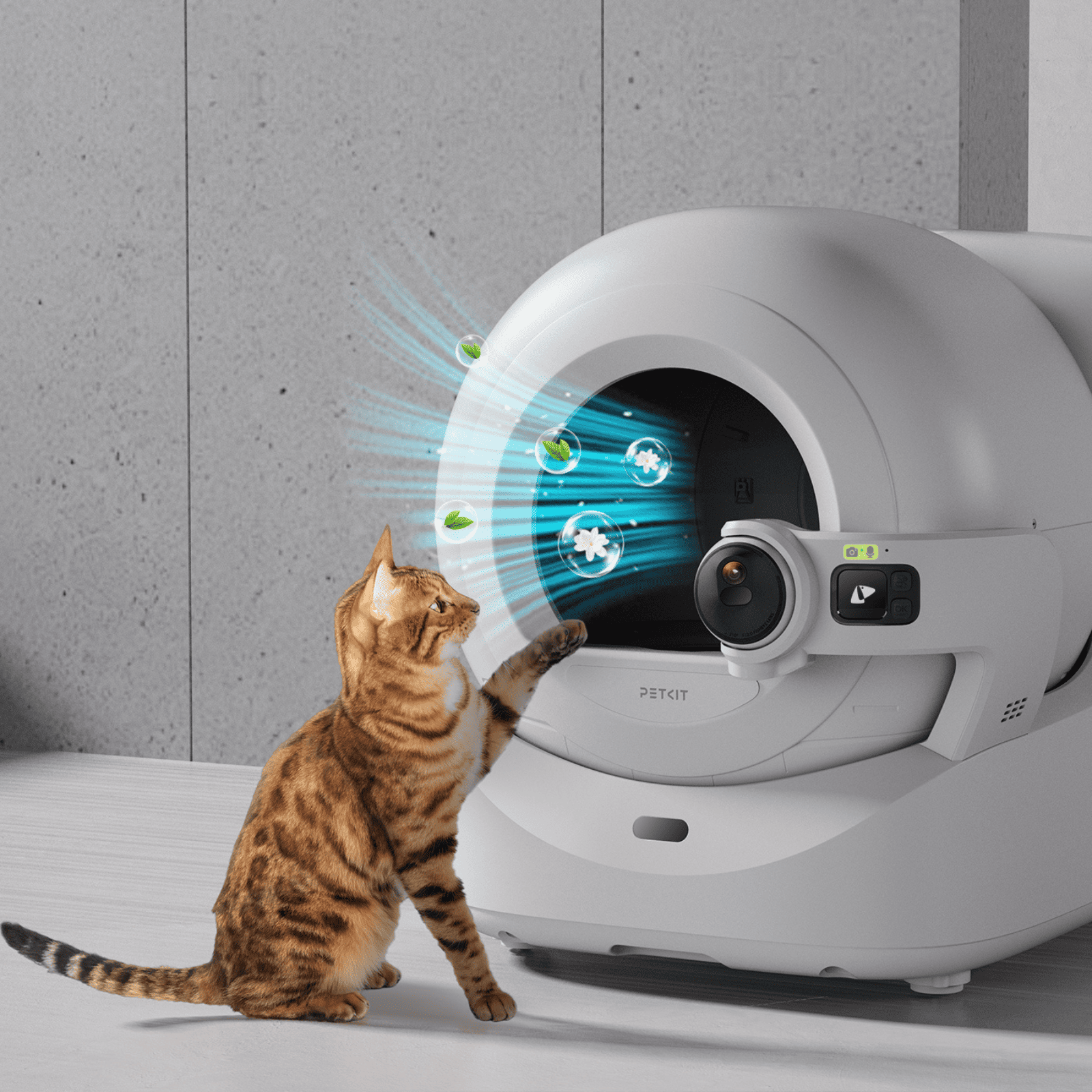 Eine Katze greift nach einer weißen, selbstreinigenden PETKIT-Katzentoilette, wobei die luftreinigenden Effekte visualisiert werden.