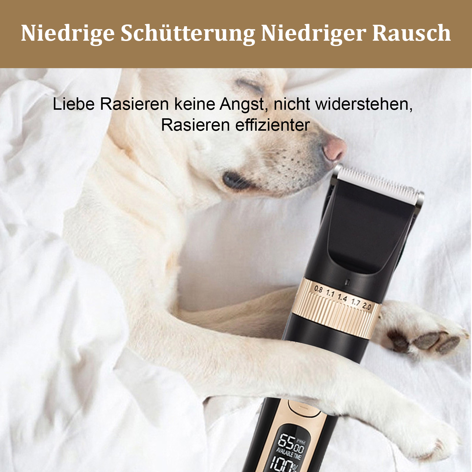 Hund liegt mit schwarzen und goldenen Tierpflegeschermaschinen da. Deutscher Text oben.