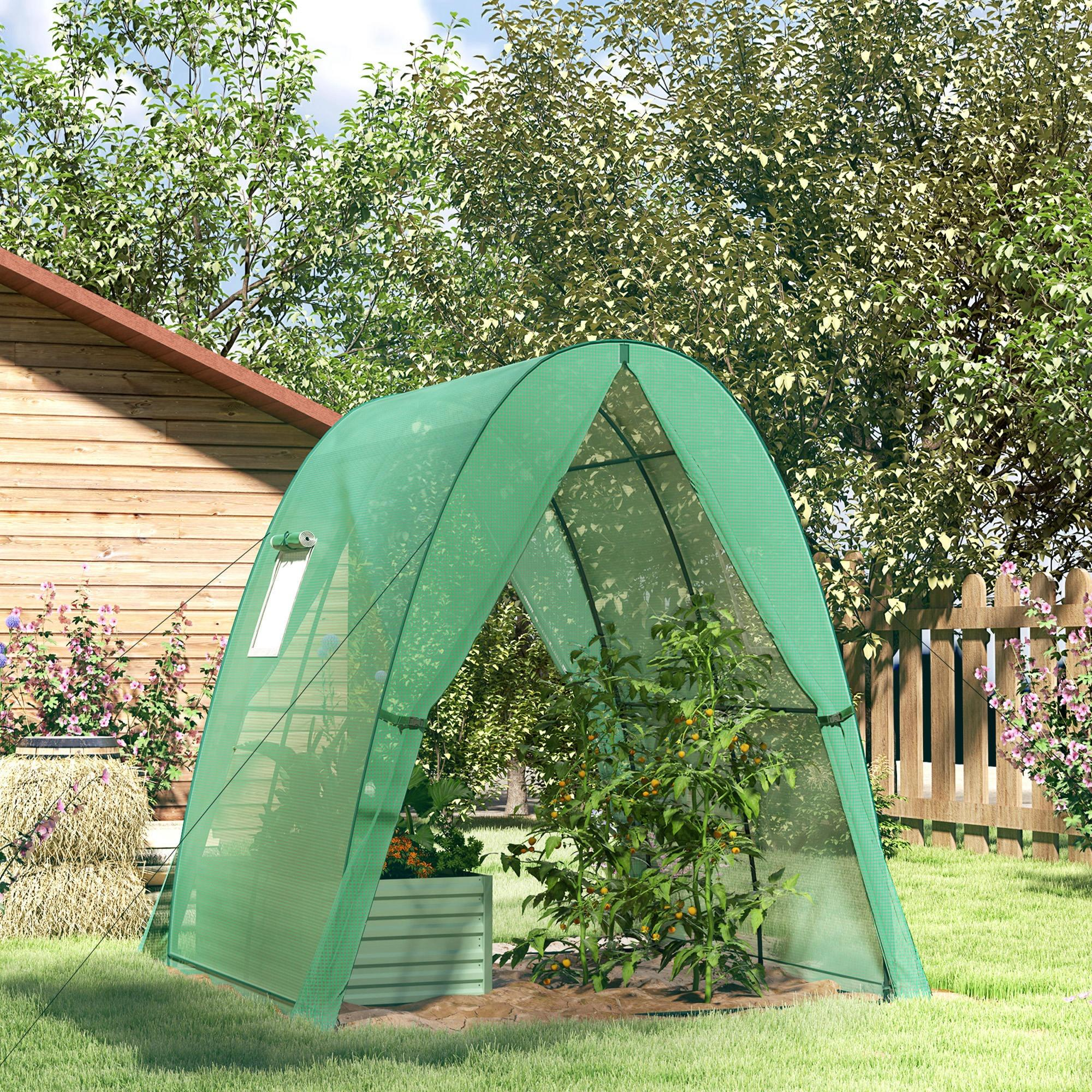 Ein grüner Pflanzenschutz in einem Garten mit einer Tomatenpflanze im Inneren und einer Holzkonstruktion dahinter.