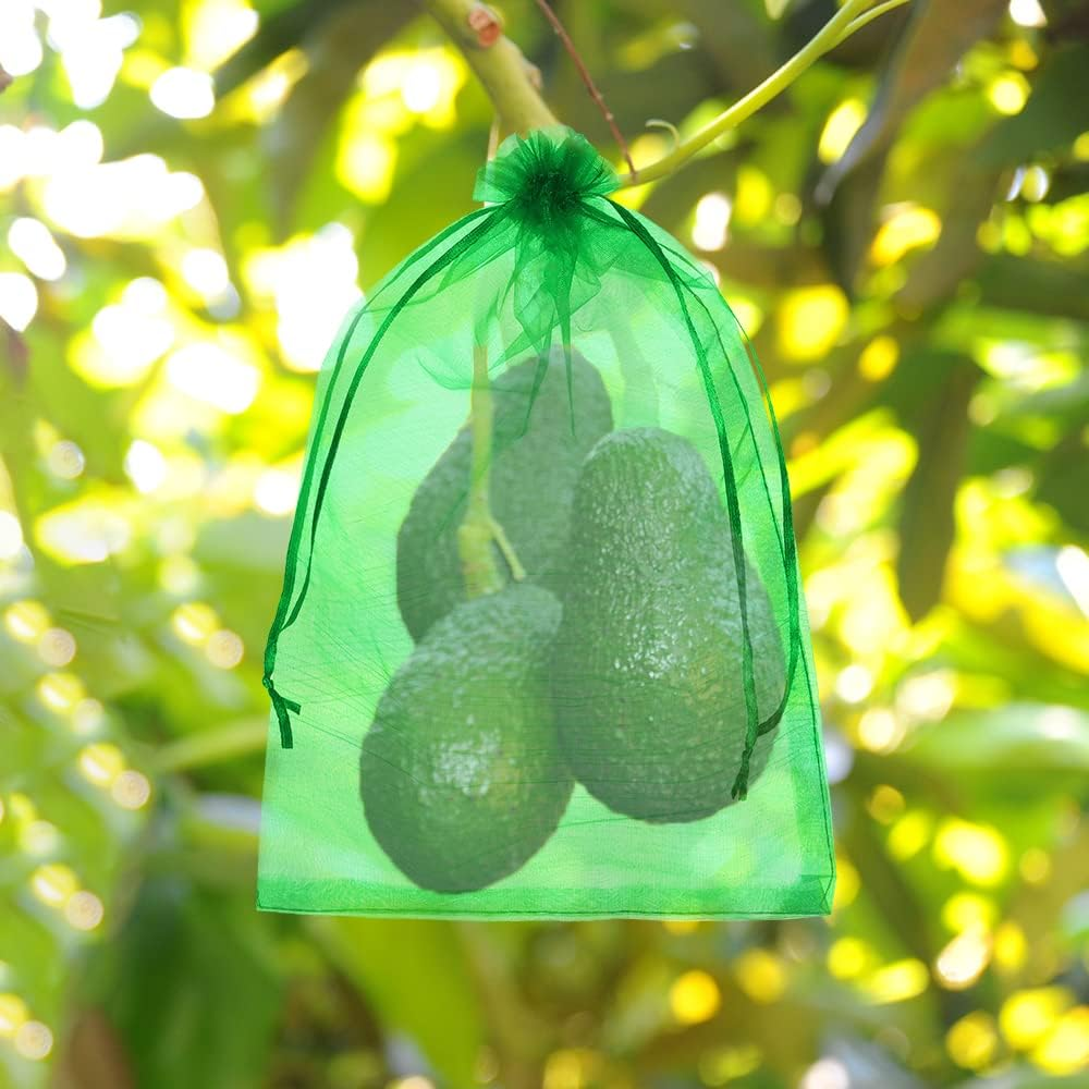 Drei Avocados in einem grünen Netzbeutel hängen an einem Baumast und zeigen umweltfreundlichen Produktschutz.