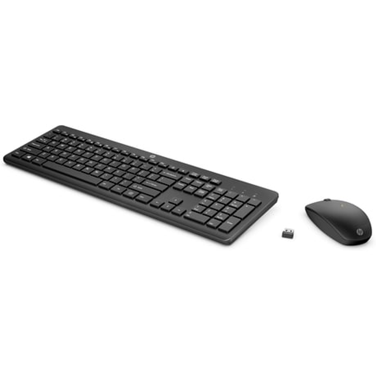 Set tastiera e mouse per computer nero con ricevitore USB su una superficie bianca.