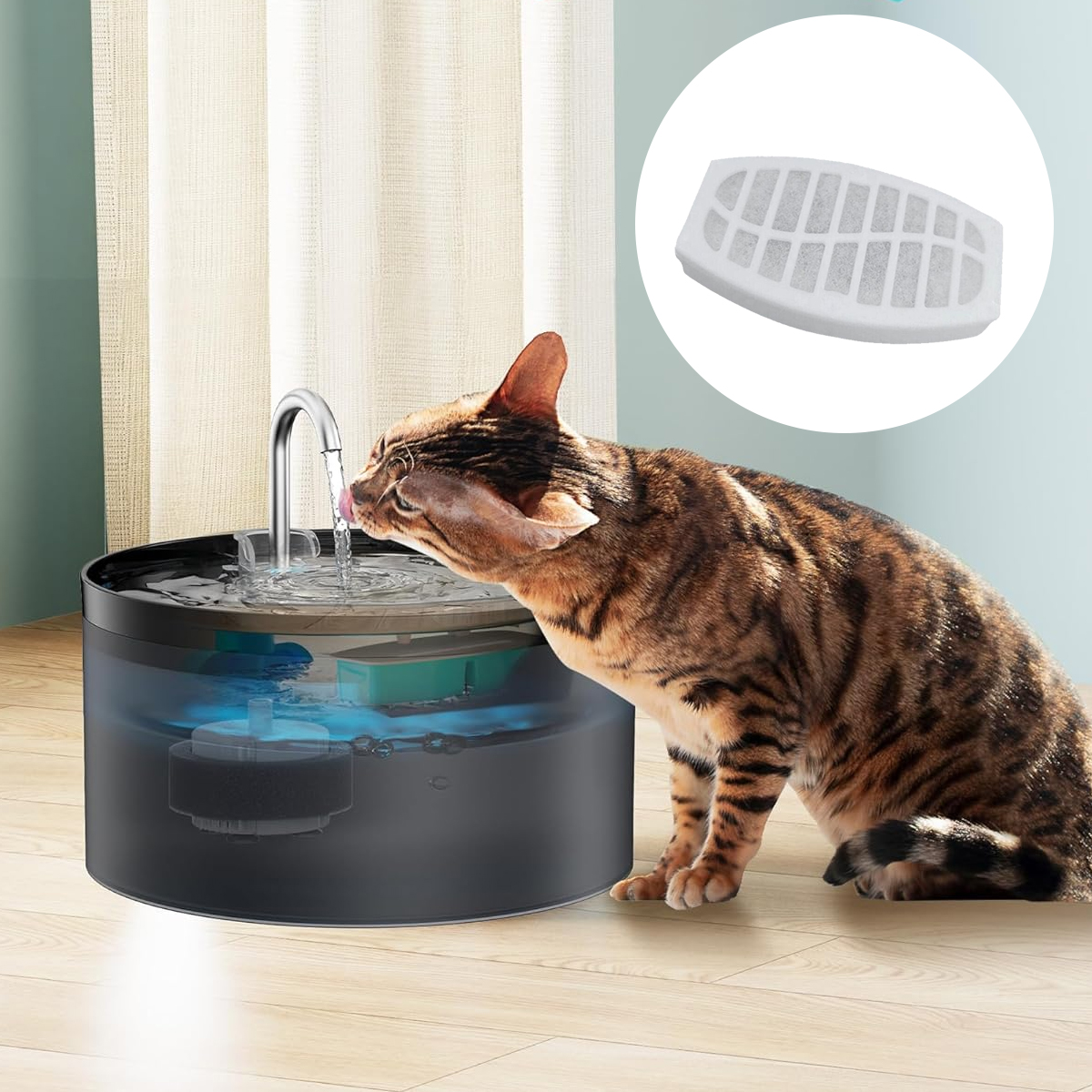 Eine Katze trinkt aus einem Wasserbrunnen mit Filter. Der Filter wird separat im Kreis gezeigt.