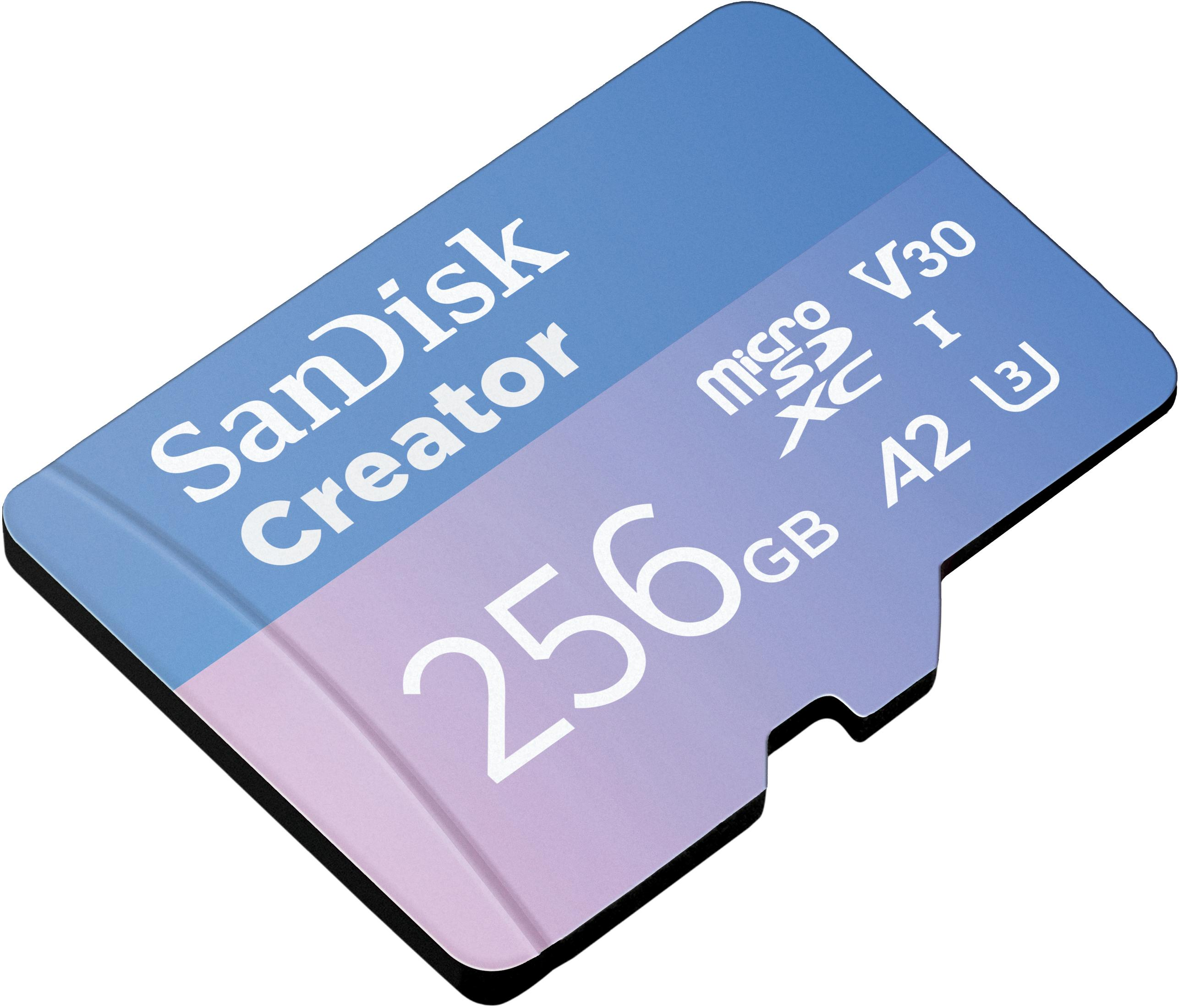 Blaue und lila SanDisk Creator Micro-SD-Karte, schräge Ansicht, 256 GB Kapazität.