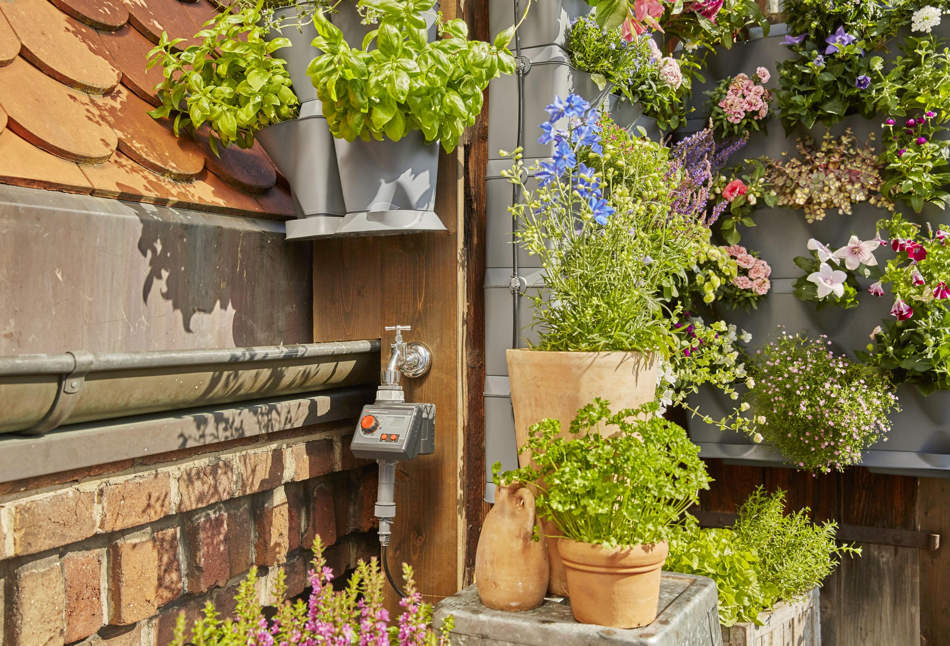 Un giardino con un sistema di giardino verticale, piante, fiori, un rubinetto e un dispositivo di controllo grigio.