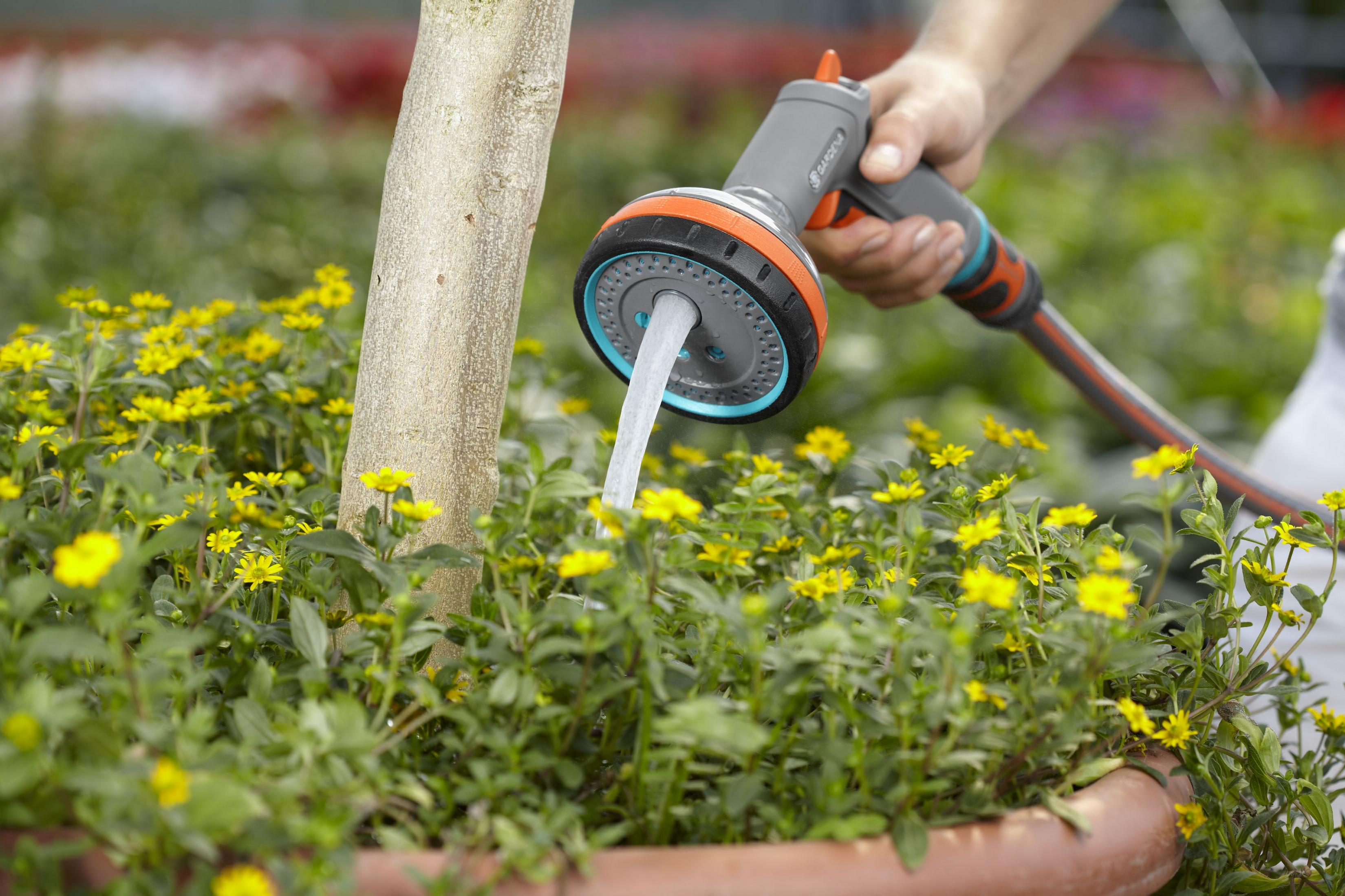 Una mano tiene in mano un nebulizzatore Gardena, annaffiando fiori gialli con un tronco d'albero sullo sfondo.