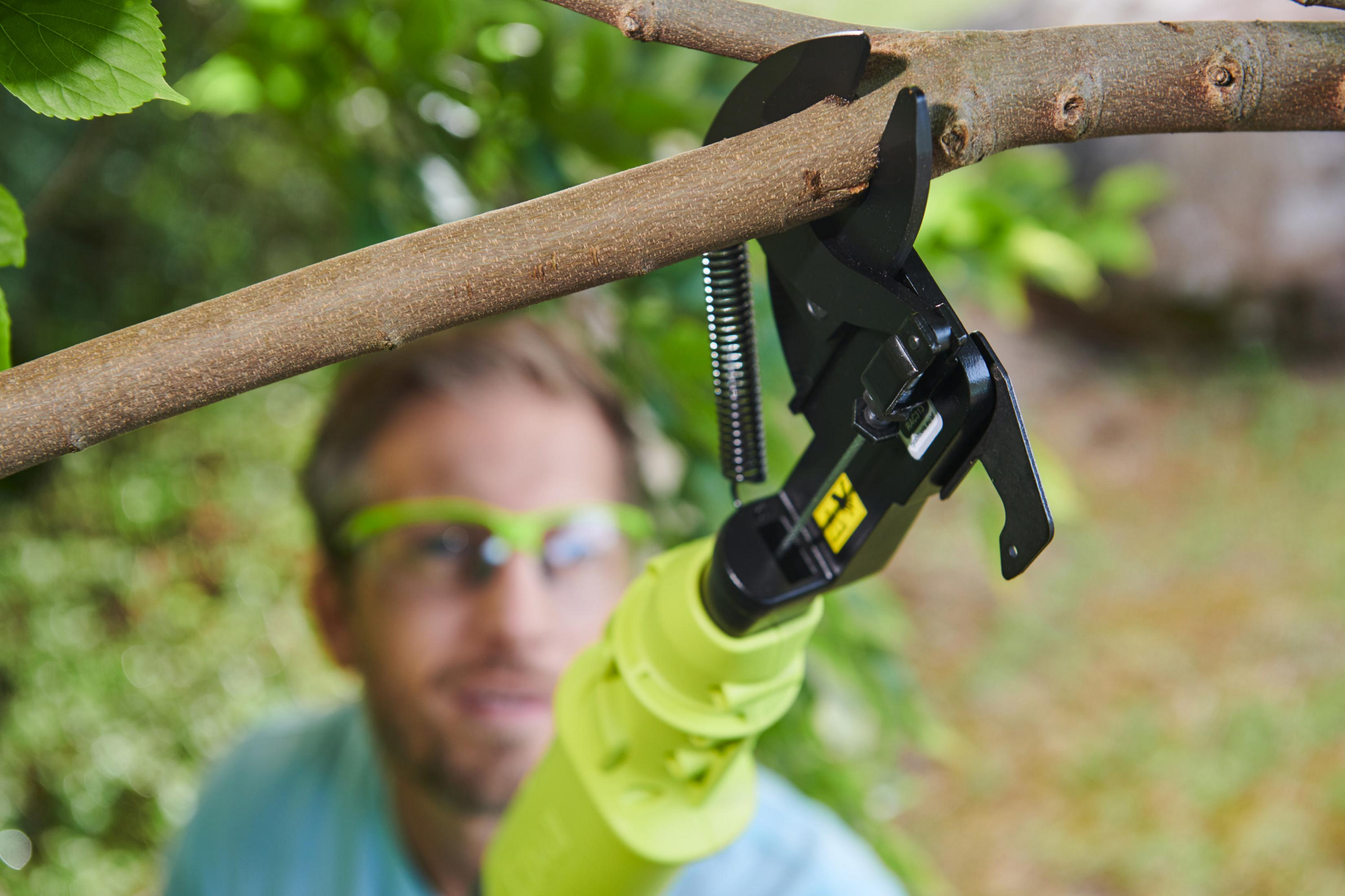 Nahaufnahme eines Astes, der mit einer elektrischen Ryobi-Stangensäge geschnitten wird, mit einem Mann im Hintergrund.