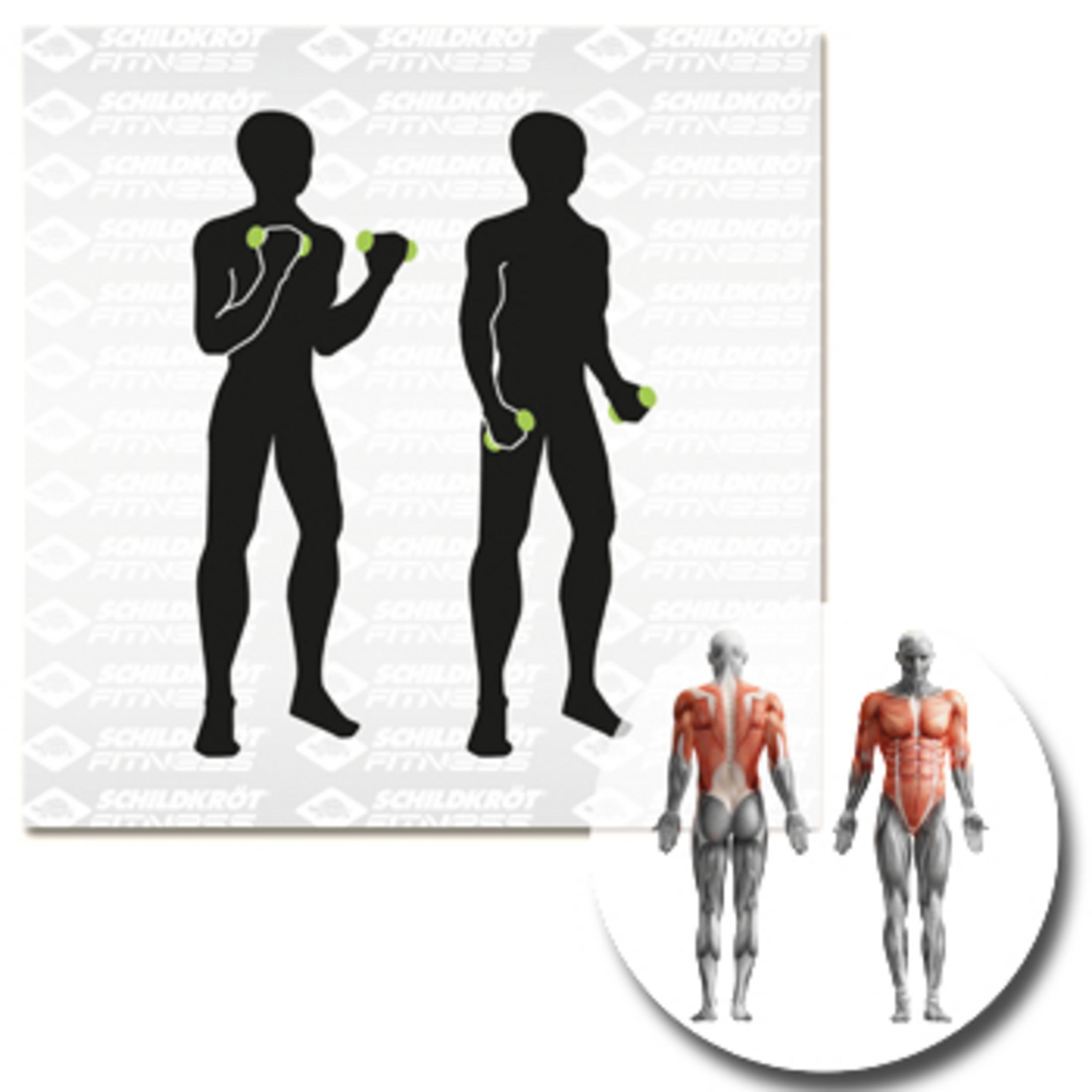 Ein Fitnessdiagramm zeigt schwarze Silhouetten, die grüne Hanteln heben, mit Muskeldiagrammen.