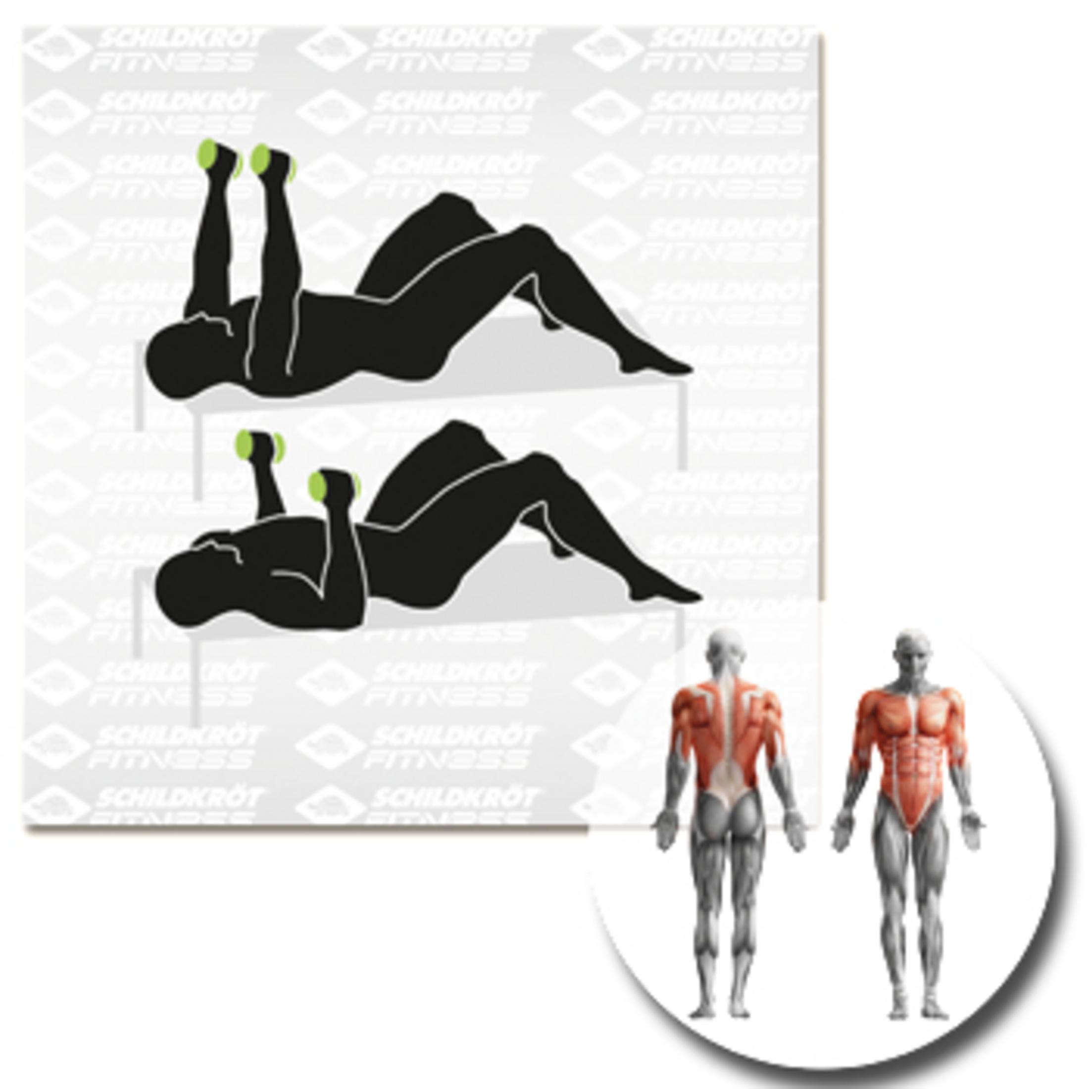 Ein Fitnessdiagramm von Silhouetten, die grüne Hanteln heben, mit dargestellten Muskeldiagrammen.