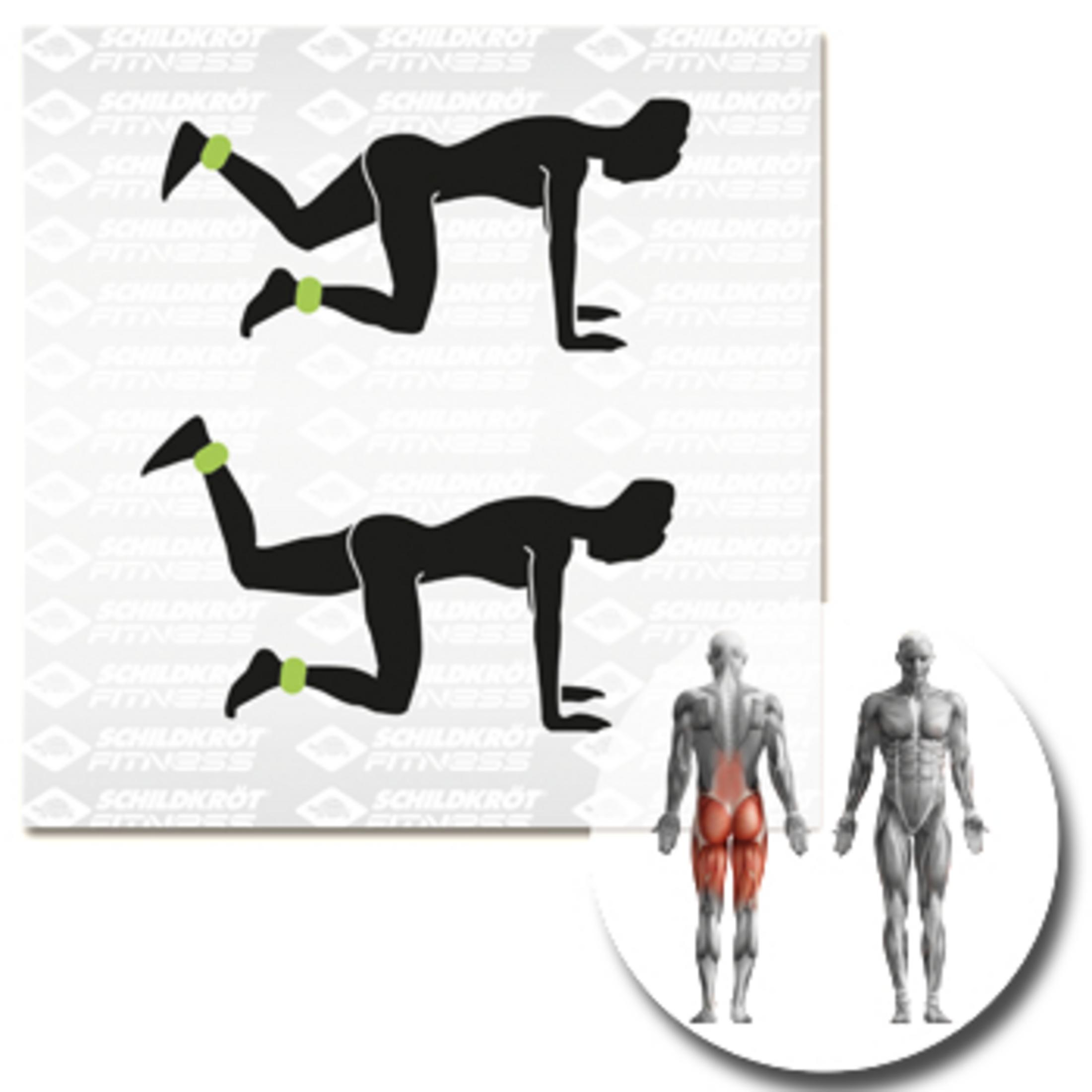 Übungsdiagramm, das Beinstreckübungen mit Knöchelgewichten und Muskelanatomie zeigt.