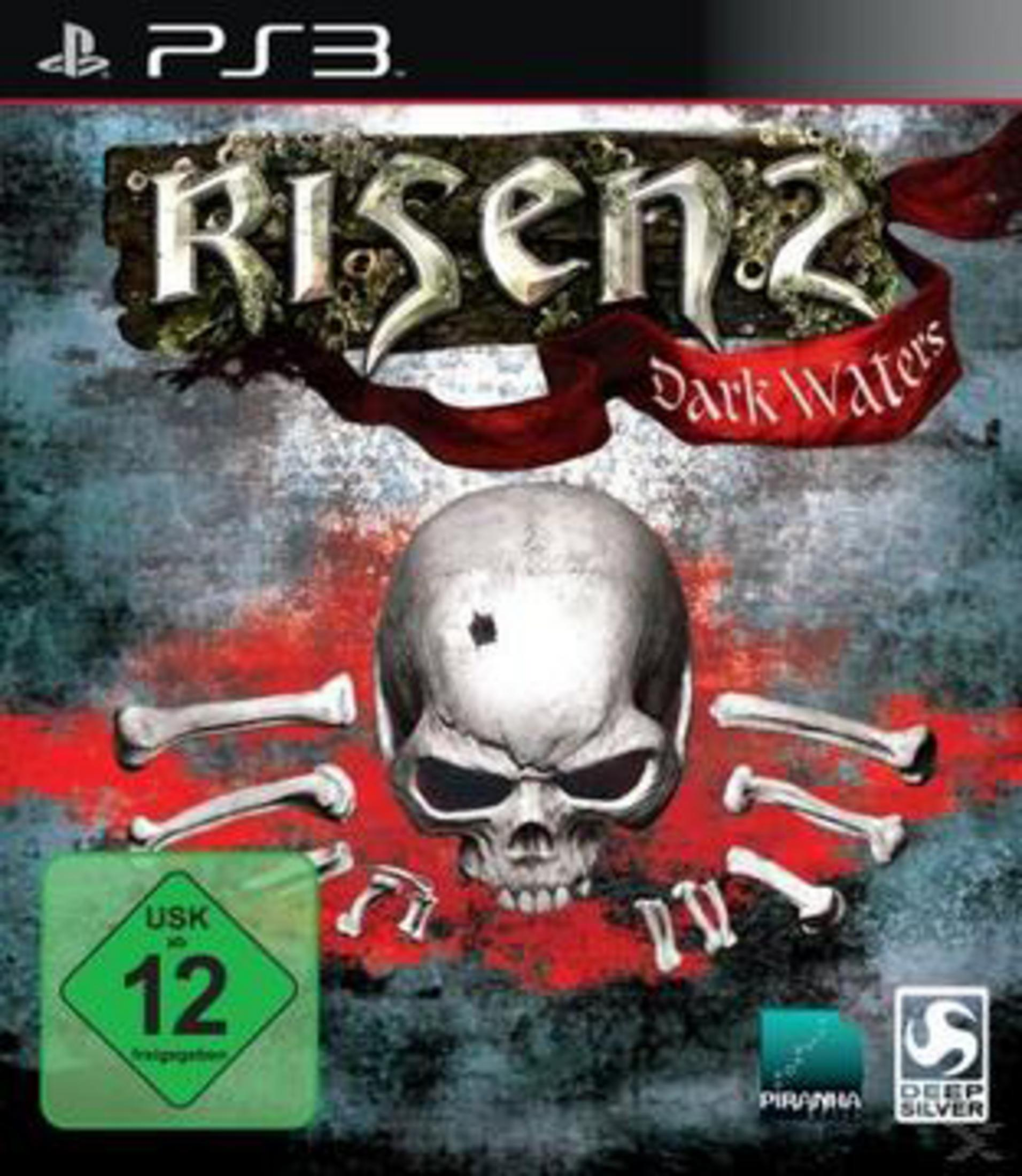 Spielcover für Risen 2 mit Schädel, Knochen und Titeltext.