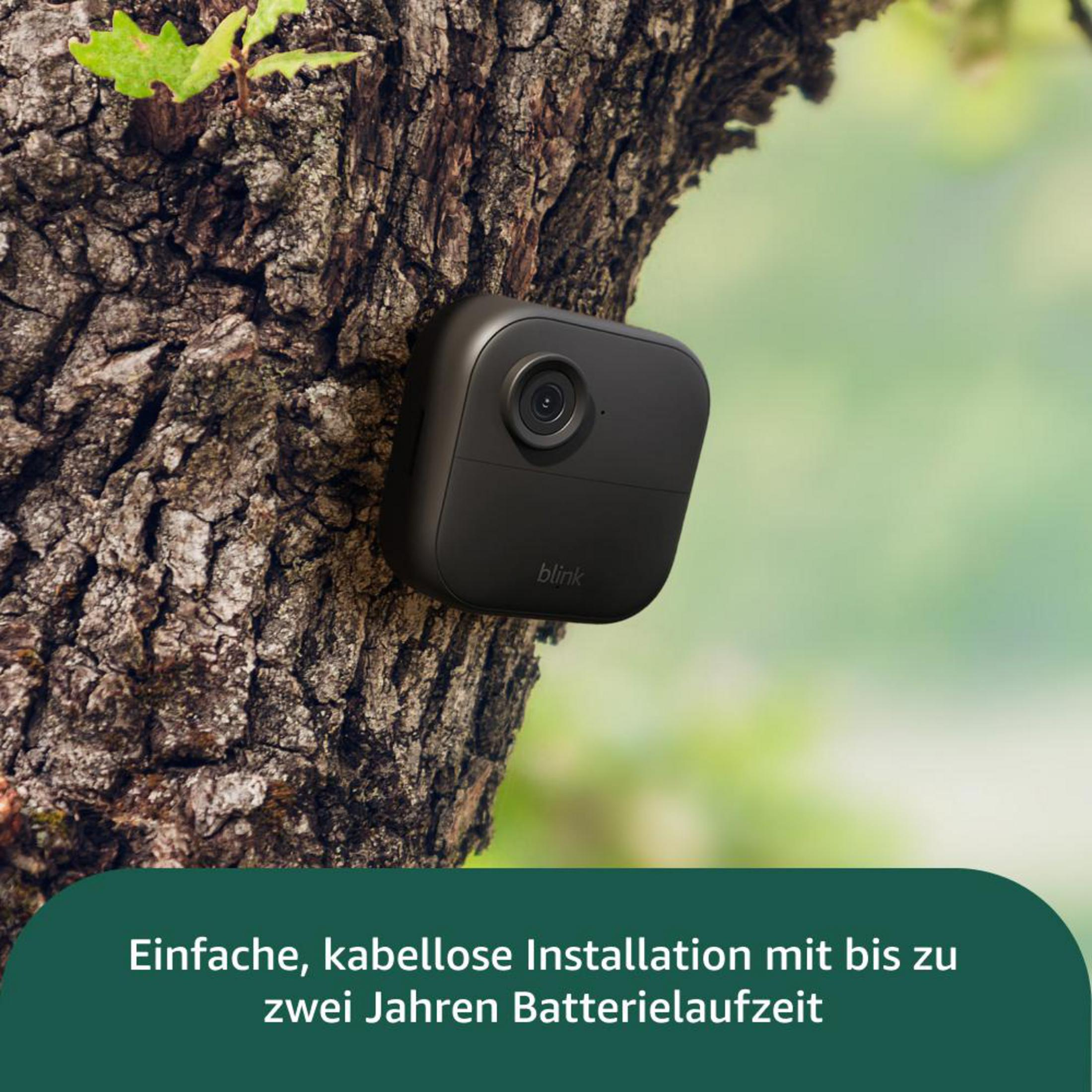 Eine schwarze Sicherheitskamera ist an einem Baumstamm montiert, mit 'blink'-Logo. Der Hintergrund ist grün.