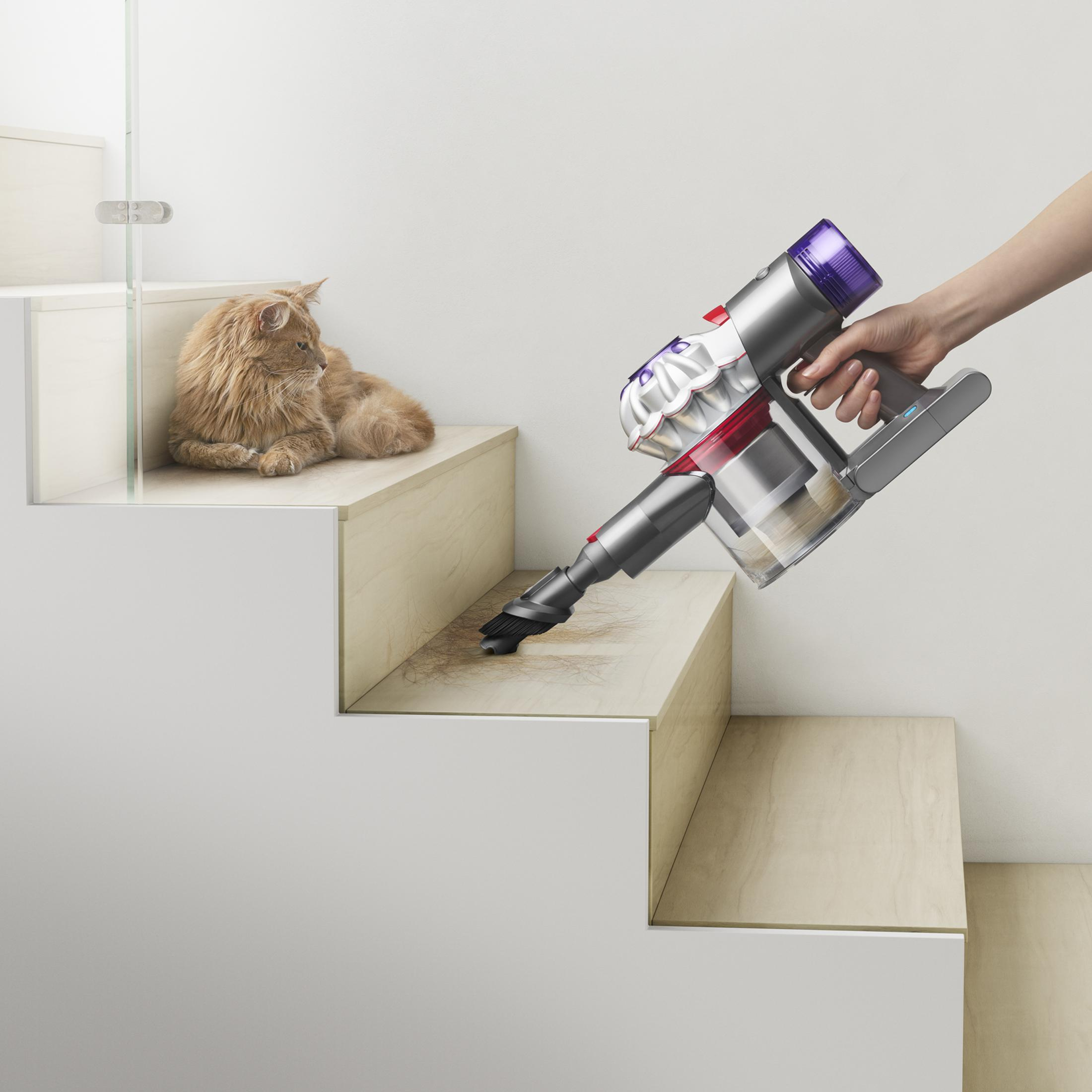 Eine Person saugt mit einem Dyson Akku-Staubsauger Treppen, während eine Katze zusieht.