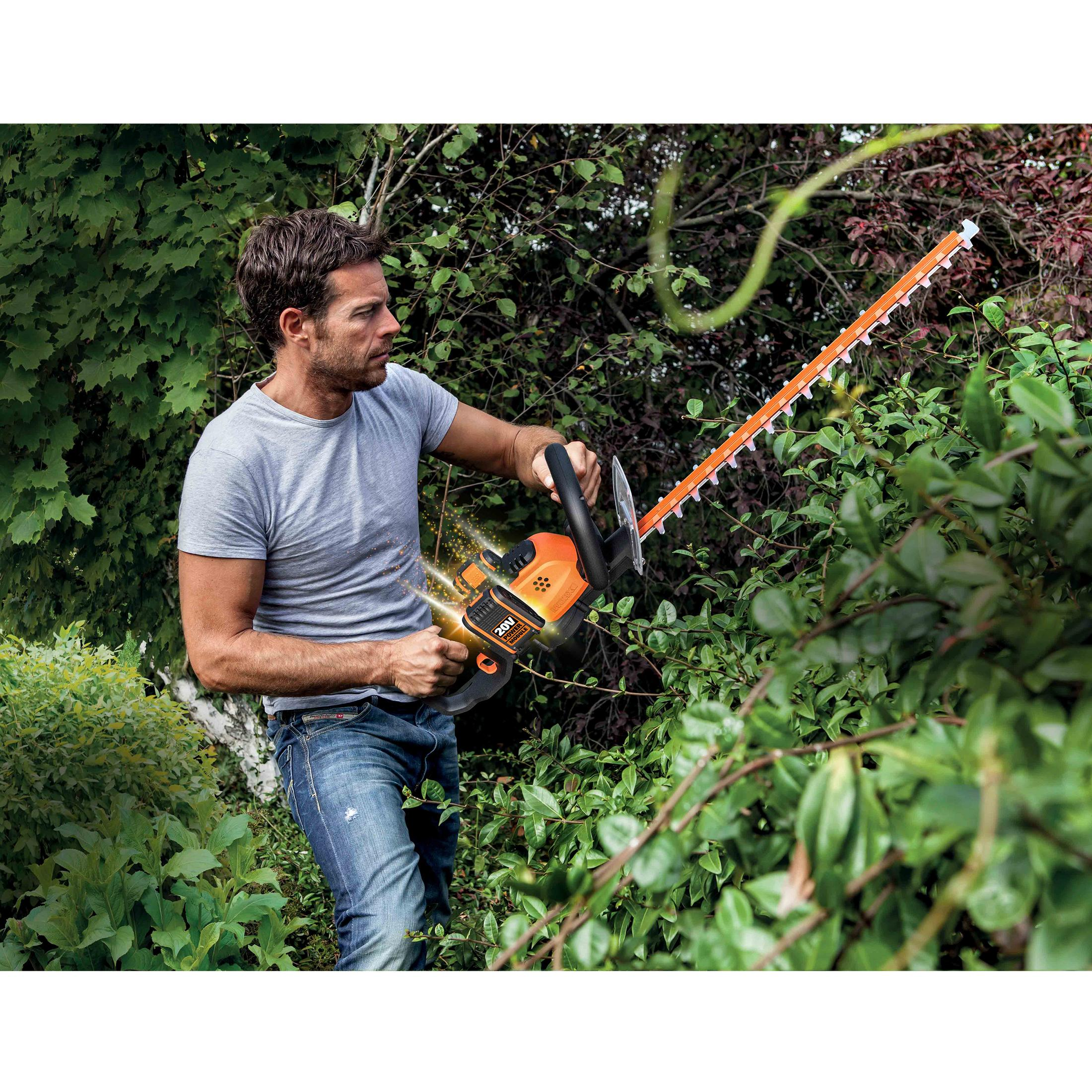 Ein Mann schneidet mit einer orange-schwarzen WORX Heckenschere eine Hecke. Er trägt Jeans und ein graues T-Shirt.