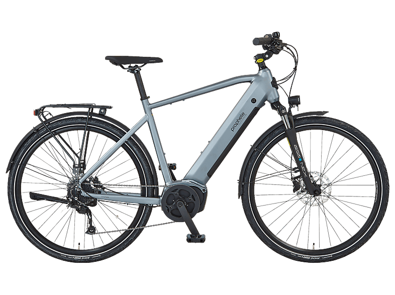 PROPHETE Entdecker 3.8 Trekkingrad (Laufradgröße: 28 Zoll, Rahmenhöhe: 54 cm, Damen-Rad, 540 Wh, silber matt)