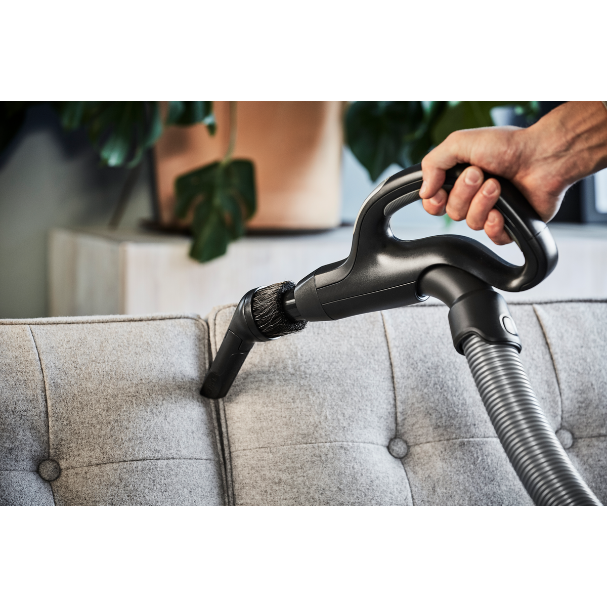 Une main aspire un canapé gris avec un accessoire de brosse. Une plante et un meuble sont à l'arrière-plan.