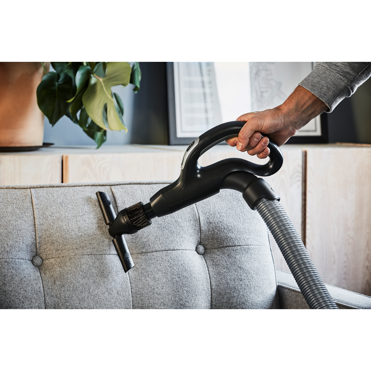 Une main aspire un canapé gris avec un accessoire plat. Une plante est à l'arrière-plan.