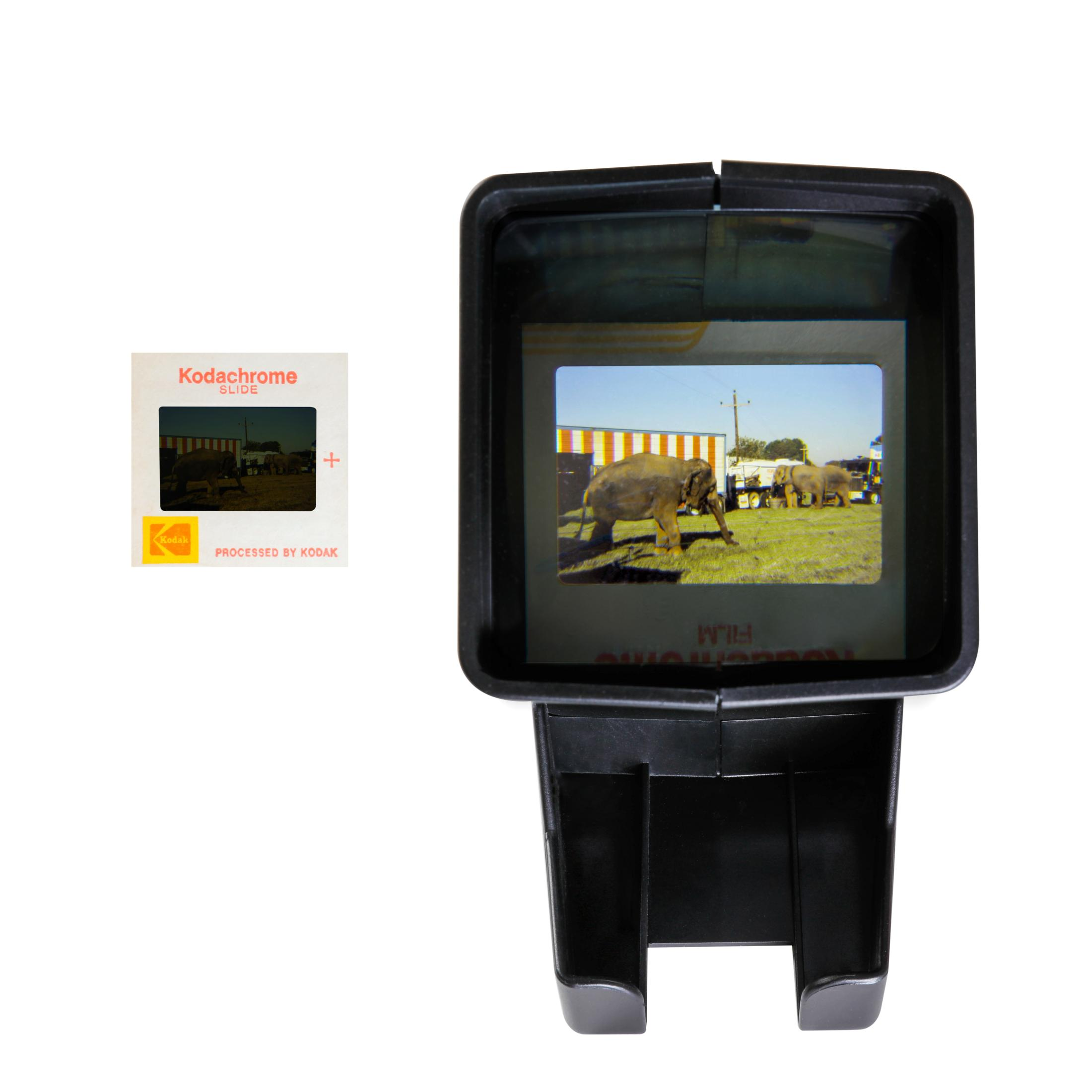 Un visore di diapositive con una diapositiva Kodachrome che mostra elefanti.