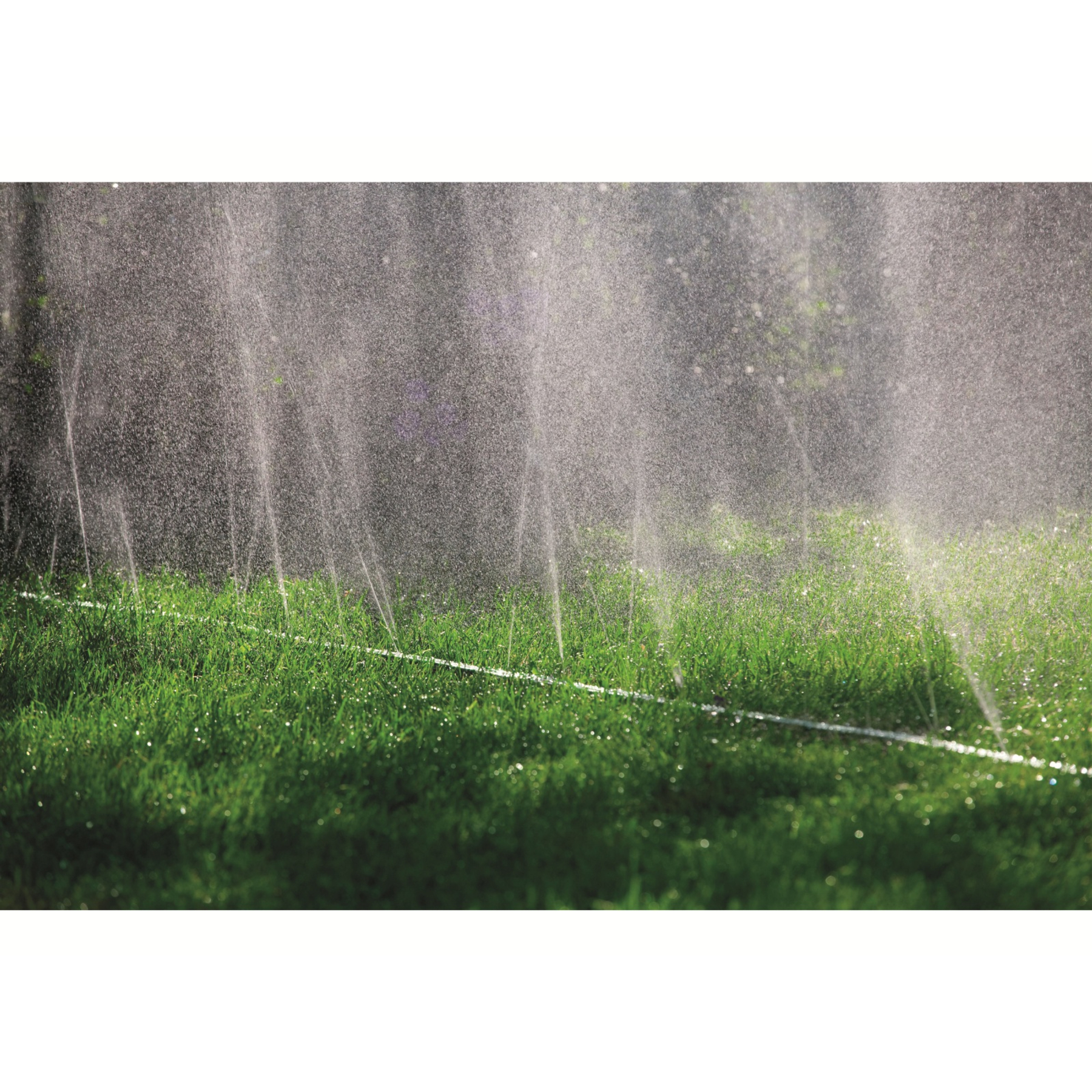 Grüner Gartenschlauch, der Wasser auf grünes Gras sprüht. Wassertröpfchen glänzen im Licht. Tageszeit.