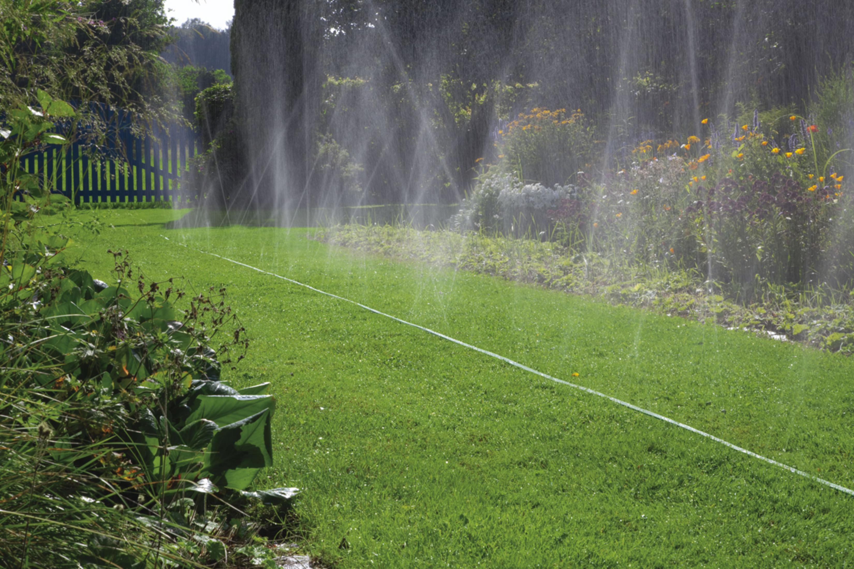 Grüner Gartenschlauch, der Wasser auf grünes Gras und Pflanzen sprüht. Ein blauer Zaun im Hintergrund. Tageszeit.