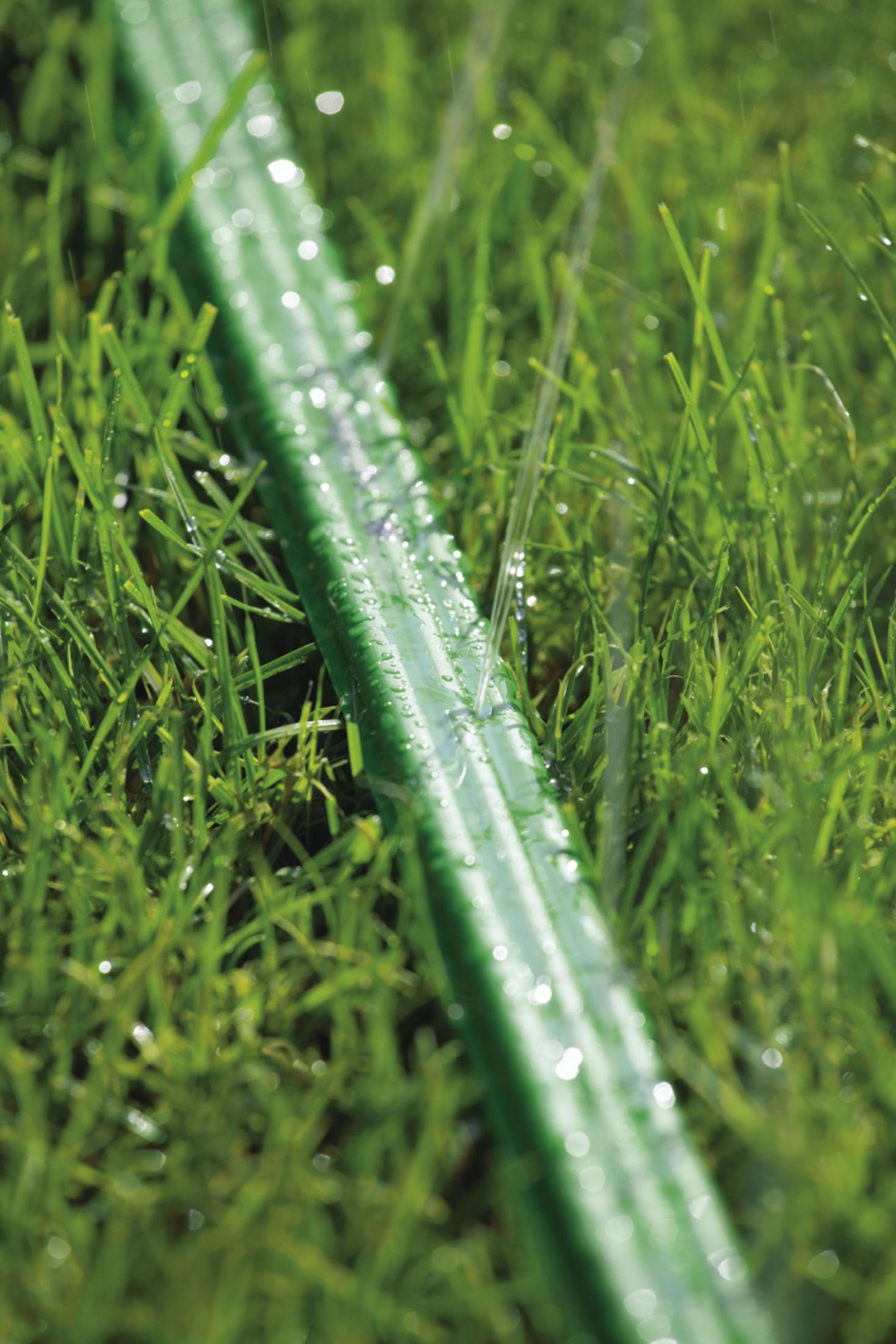 Grüner Gartenschlauch liegt auf grünem Gras mit Wassertropfen auf dem Schlauch. Nahaufnahme bei Tageslicht.