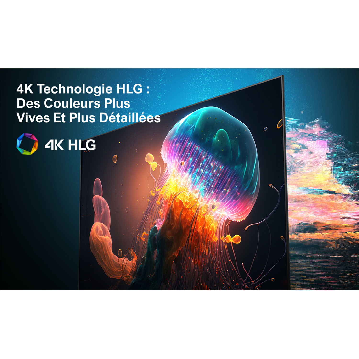 Écran affichant une méduse colorée avec texte 4K HLG.